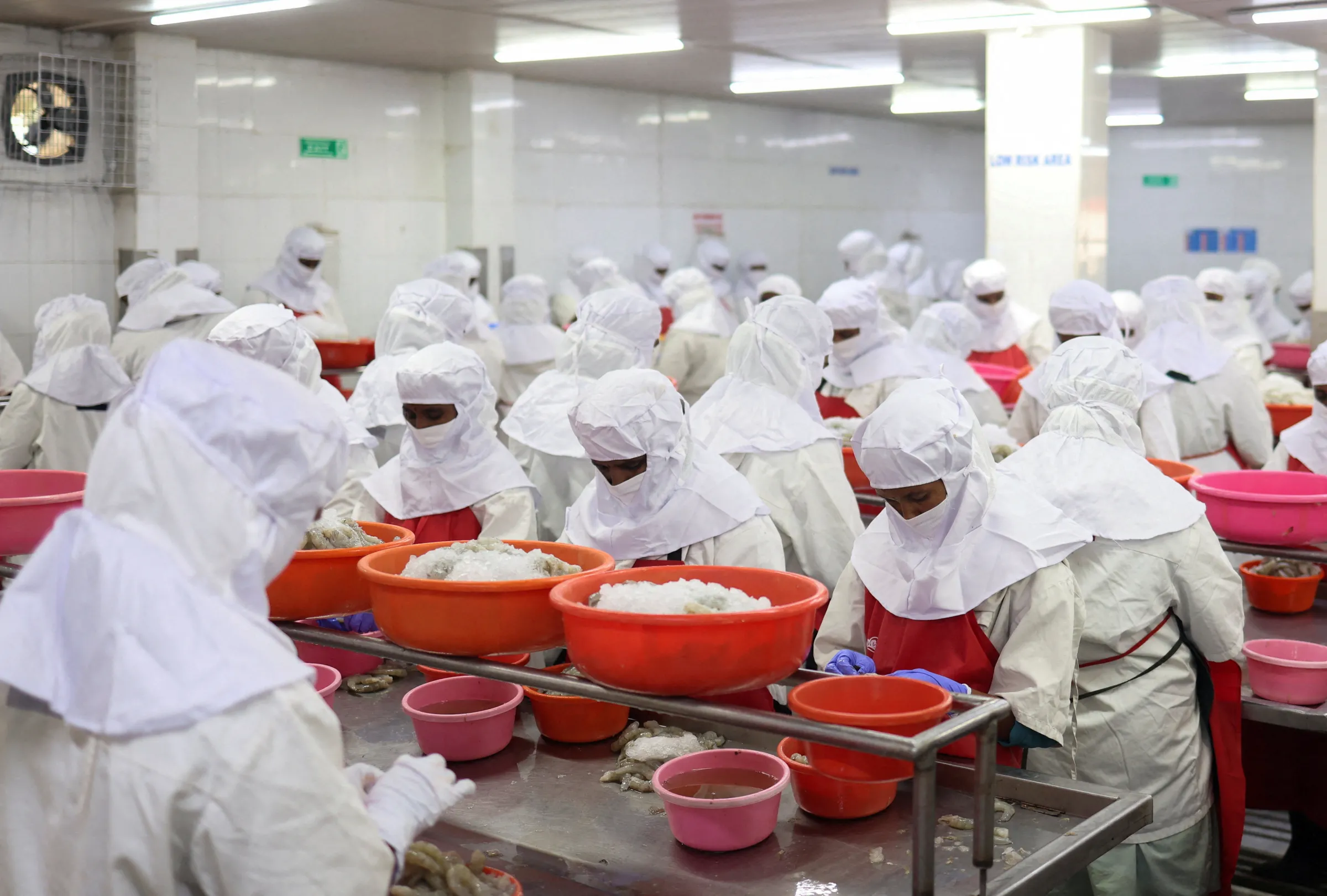 Workers sort shrimps inside a processing unit at a shrimp factory situated on the outskirts of Vishakhapatnam, India, April 10, 2025. REUTERS/Sahiba Chawdhary