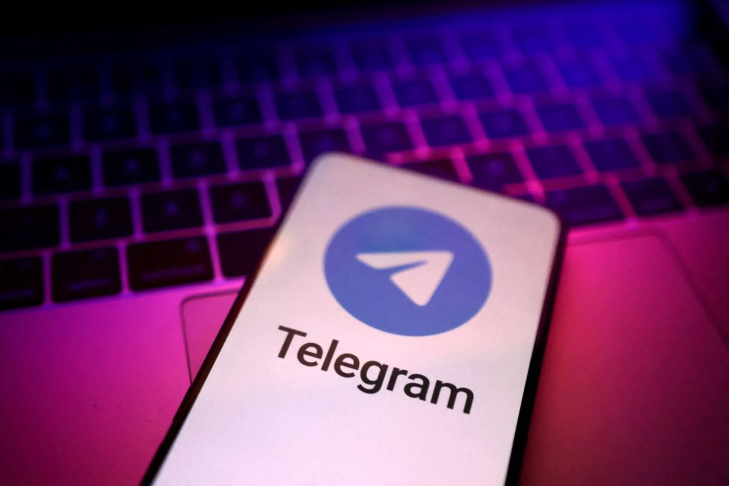 Telegram app logo is seen in this illustration taken, August 27, 2024. REUTERS/Dado Ruvic