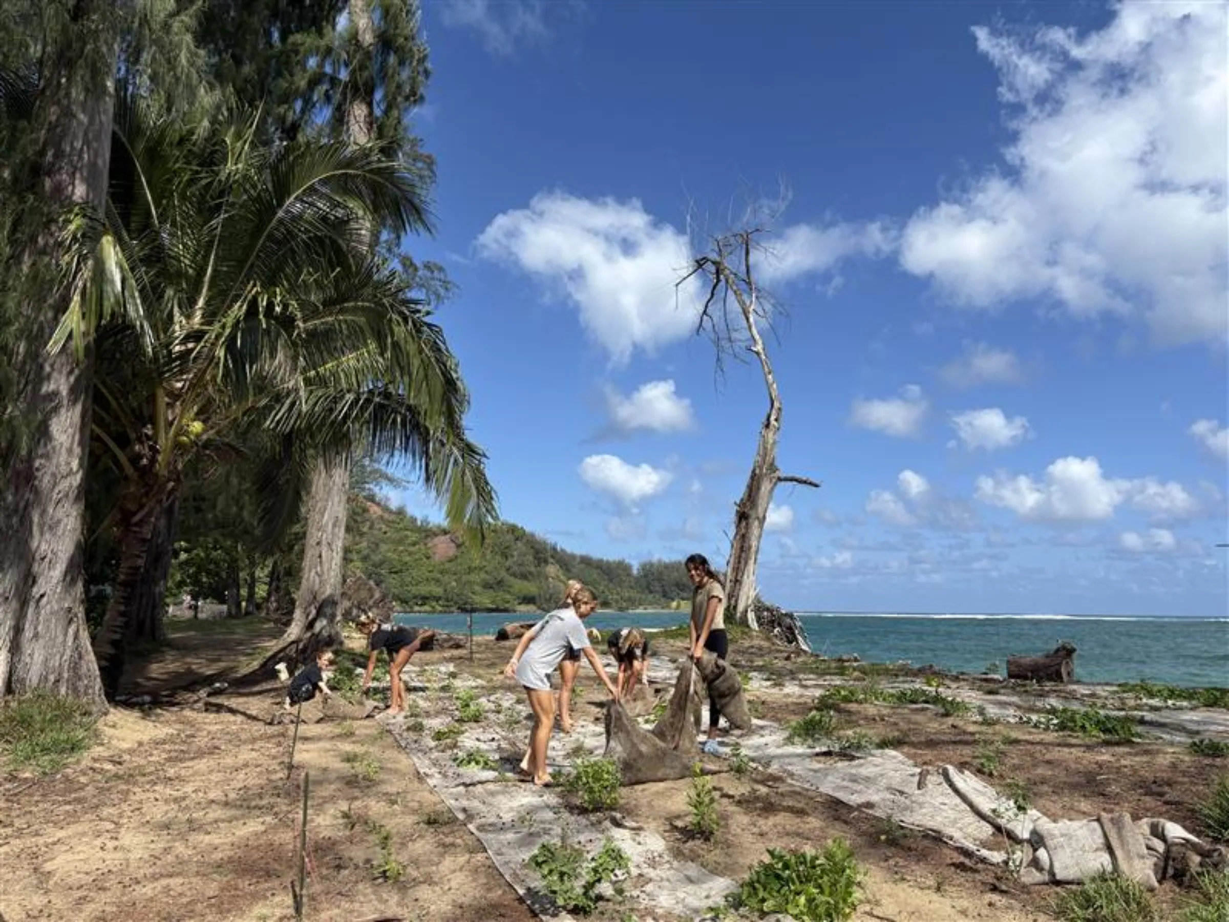 People plant native plants to help mitigate coastal erosion on the Hawaiian island of Kauaiʻi in 2024. Kelsey Rogers/Waipa Foundation/Handout via Thomson Reuters Foundation