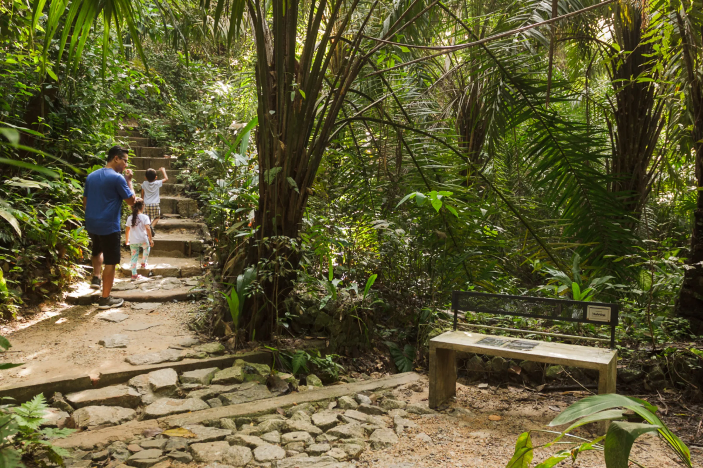 Visitors walk through Kuala Lumpur's Taman Tugu tropical forest park