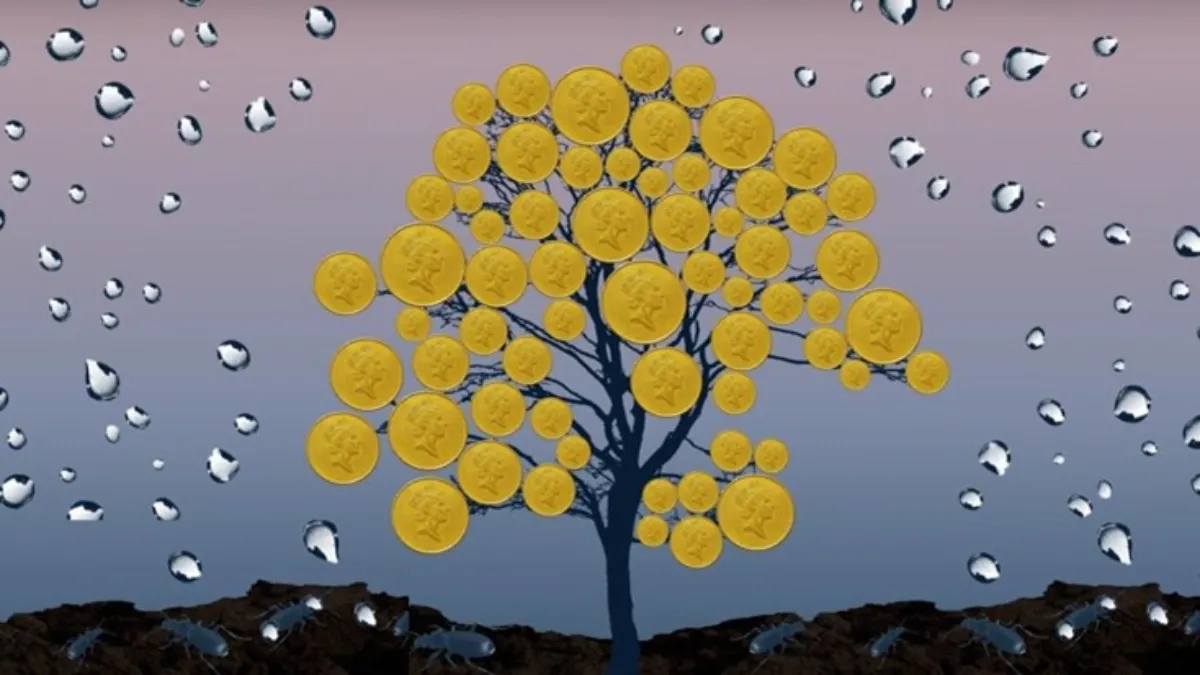 Graphic for the Context video 'Can we save trees by putting a price on them?'
