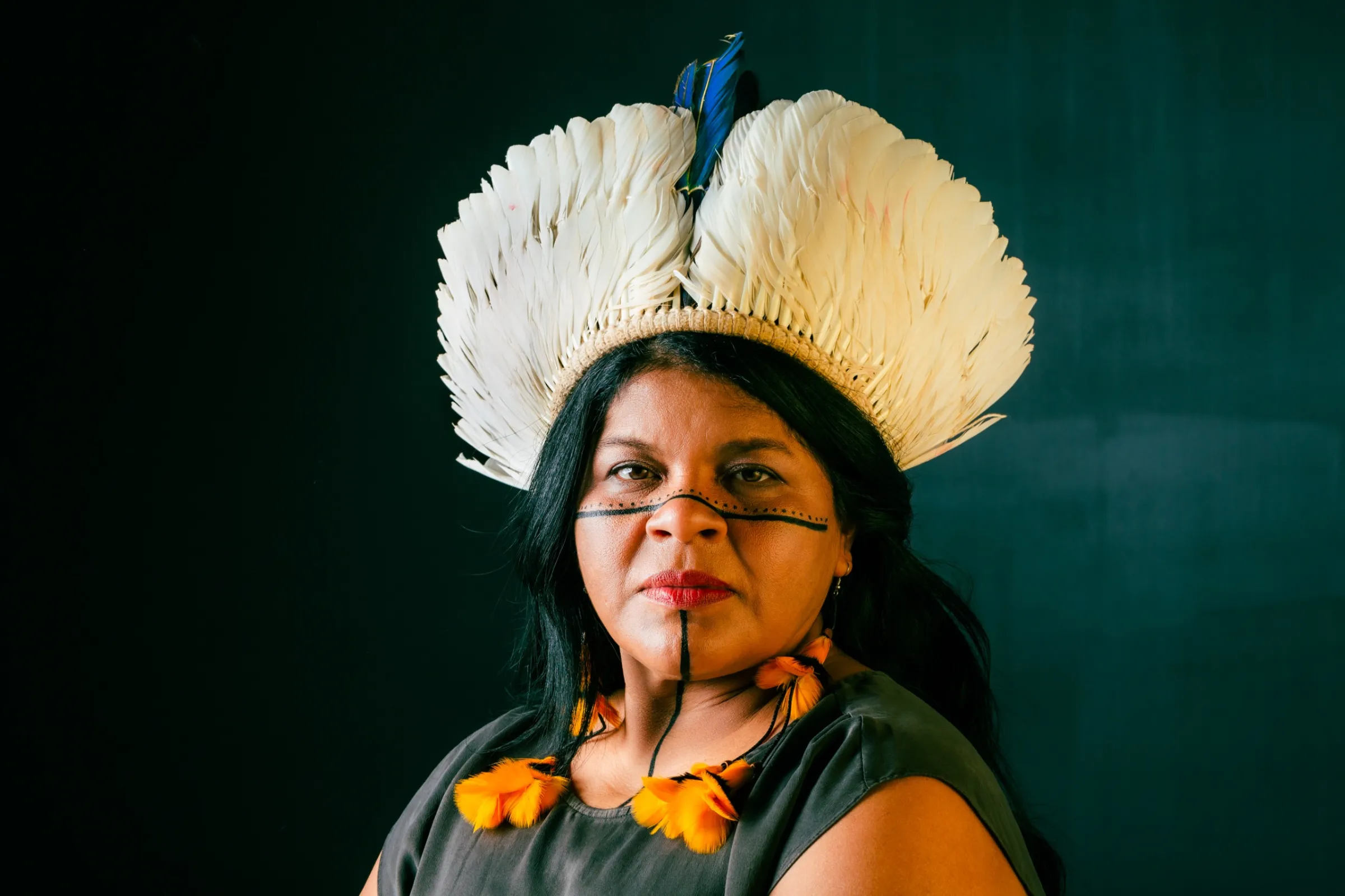 Sonia Guajajara profile picture