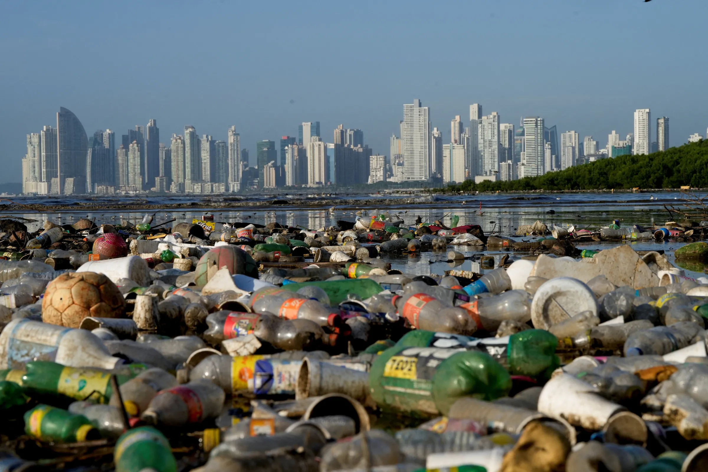 Plastic polluting a mangrove area lies in Panama Bay, Panama City, Panama December 6, 2024. REUTERS/Enea Lebrun