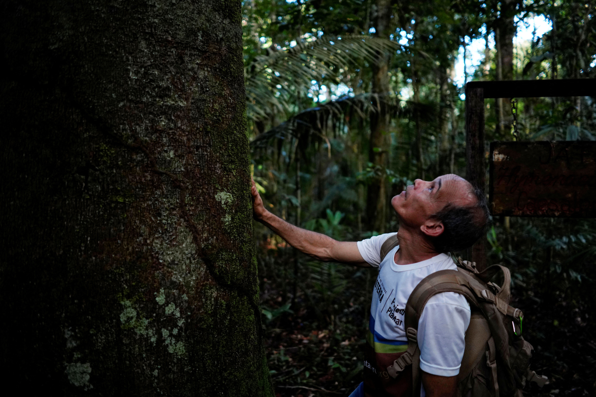 Five reasons for hope in the Amazon rainforest