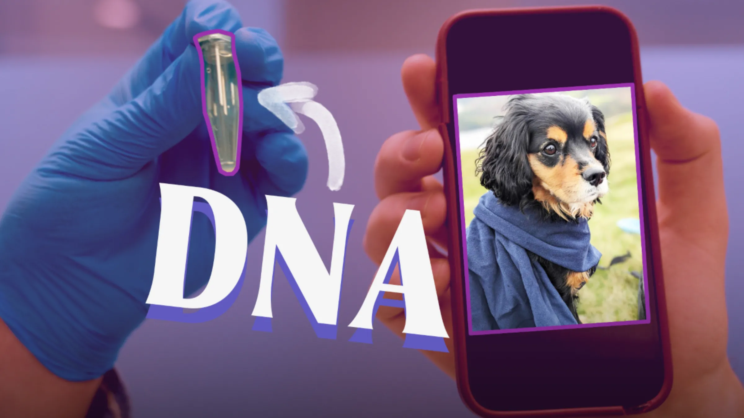 A person shows a photograph of a dog on a mobile phone, next to a hand holding a vial of DNA in this illustration. Thomson Reuters Foundation/Fintan McDonnell