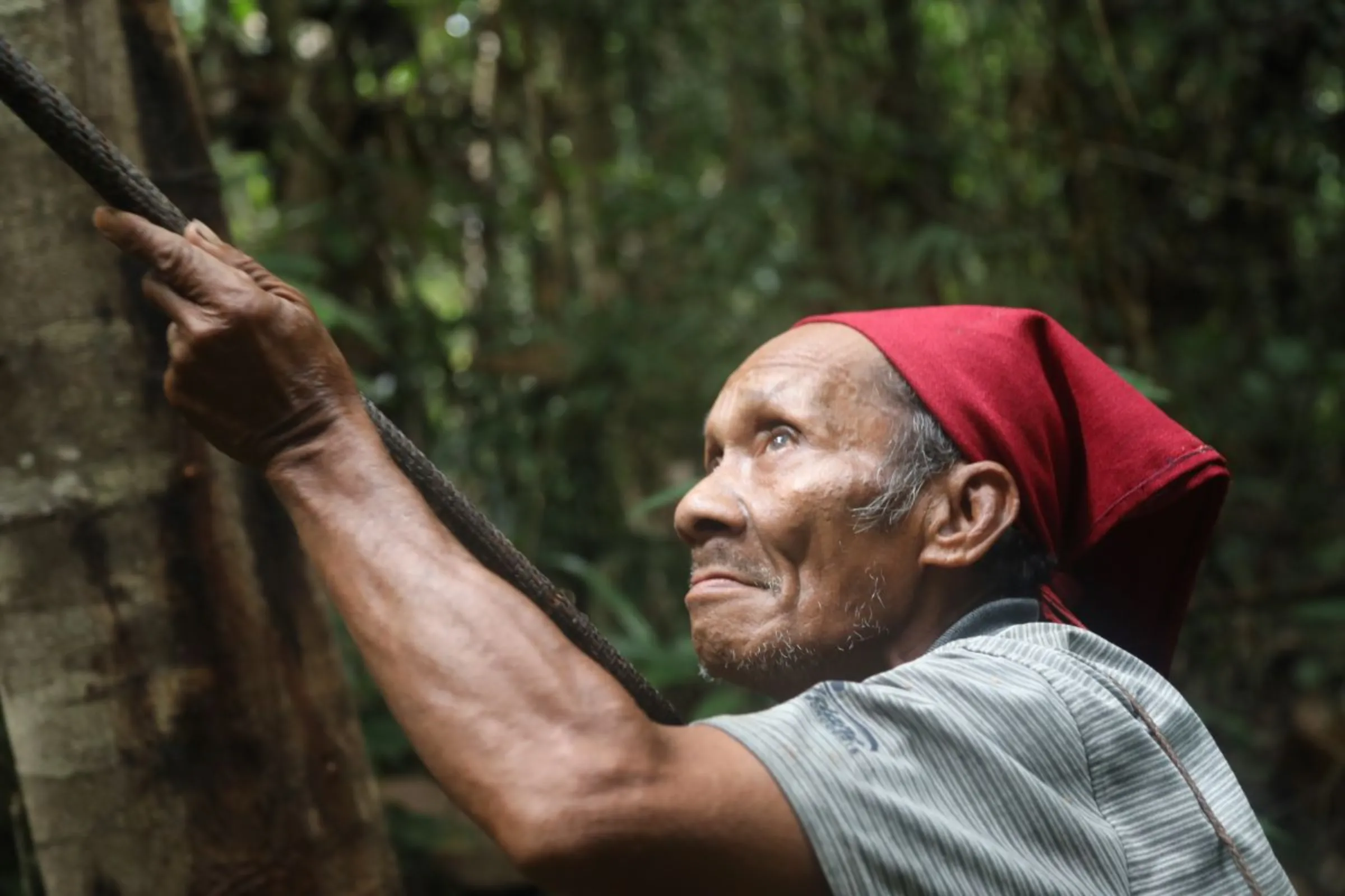 Mino Nente, an elder of the Indigenous Wana people, holding a wooden blowpipe in North Morowali Regency on the Indonesian island of Sulawesi on March 12, 2023. Thomson Reuters Foundation/Peter Yeung