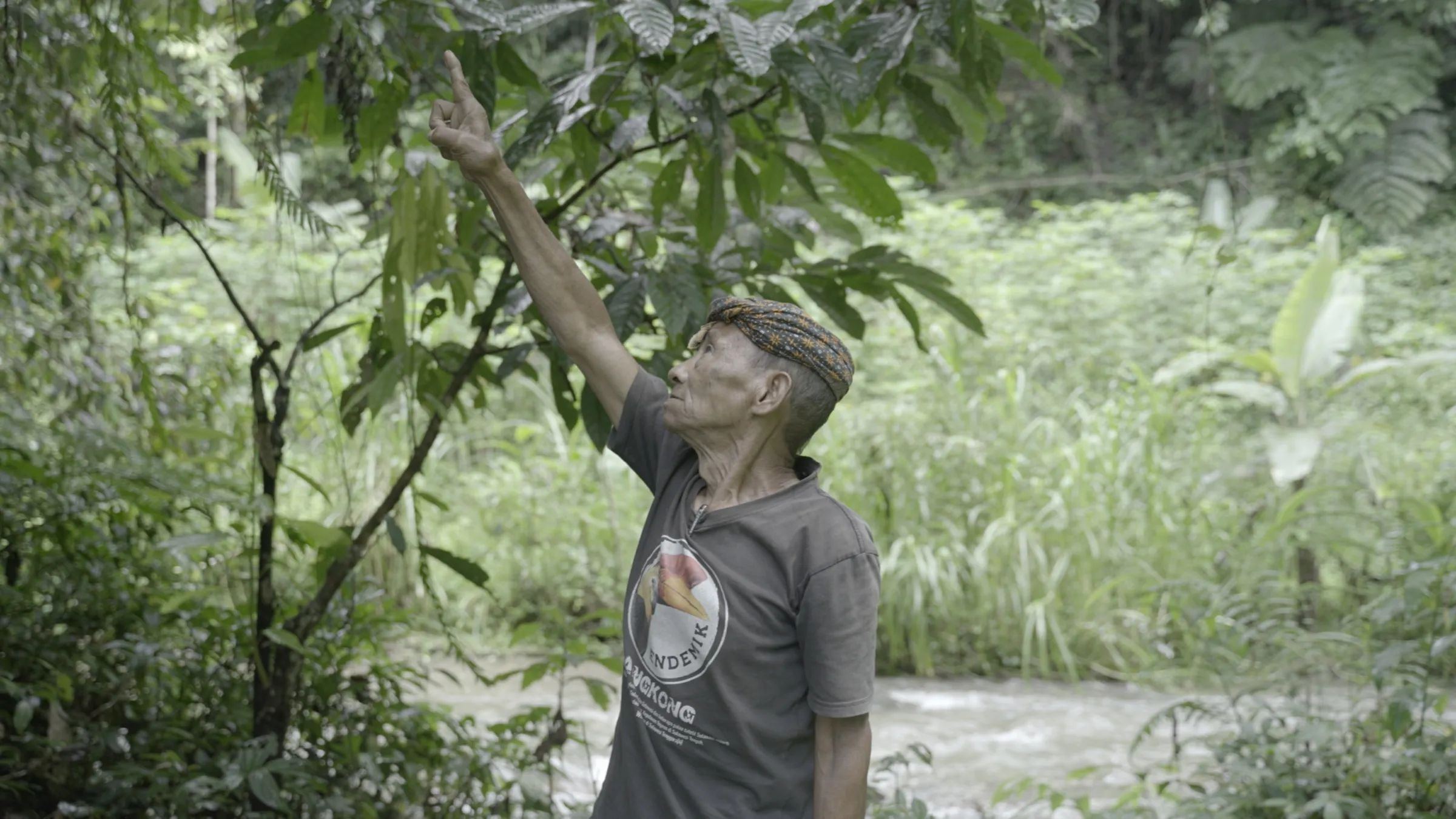 A member of the Ngata Toro Indigenous community points at a tree in Central Sulawesi, Indonesia, March 5, 2025 Thomson Reuters Foundation/Adi Renaldi