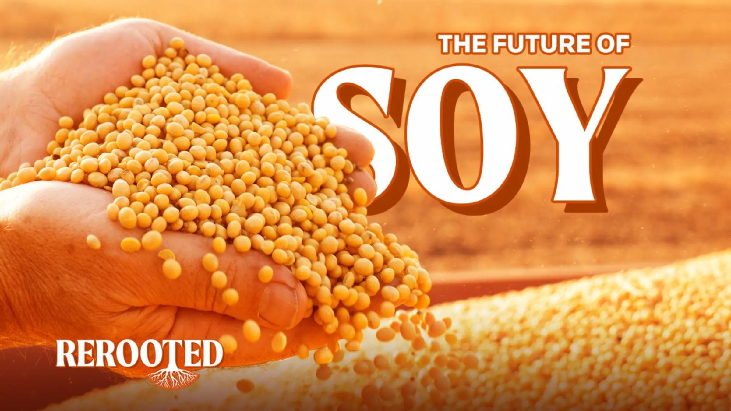 Soybeans spill out of cupped hands over text reading 'THE FUTURE OF SOY' in this illustration picture. Thomson Reuters Foundation/Karif Wat