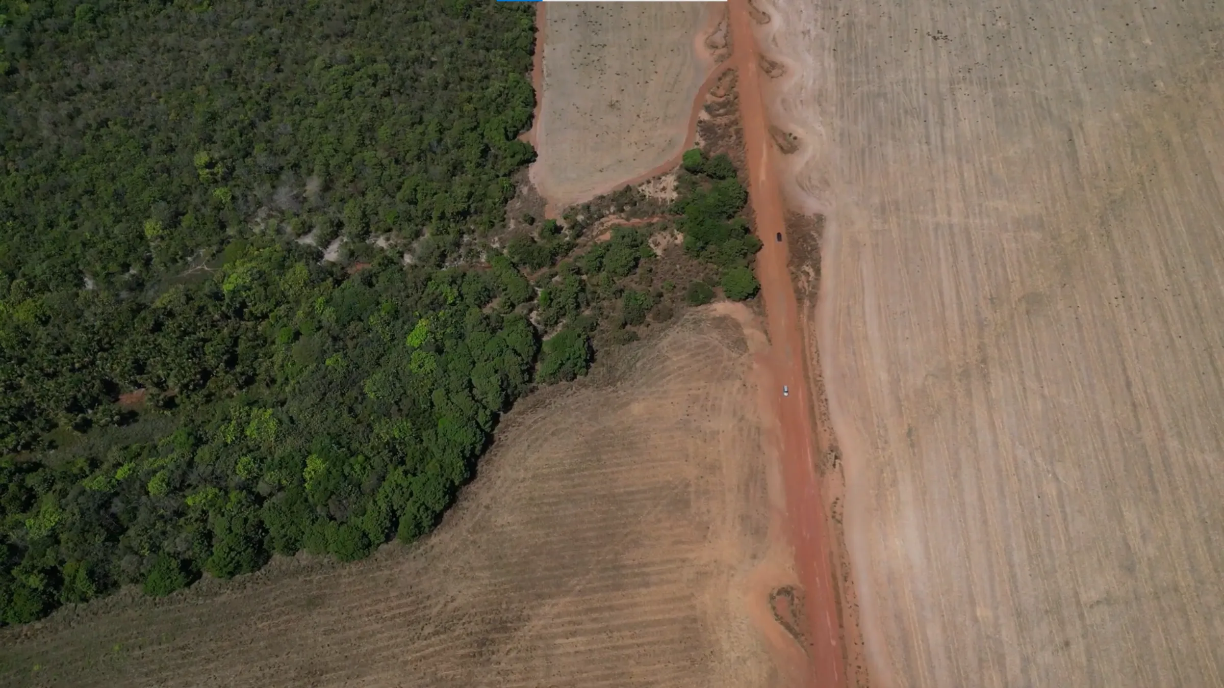 Aerial view of a road where a patch of forest meets crops in northern Mato Grosso state, Brazil, August 25, 2025. THOMSON REUTERS FOUNDATION/Rogério Florentino