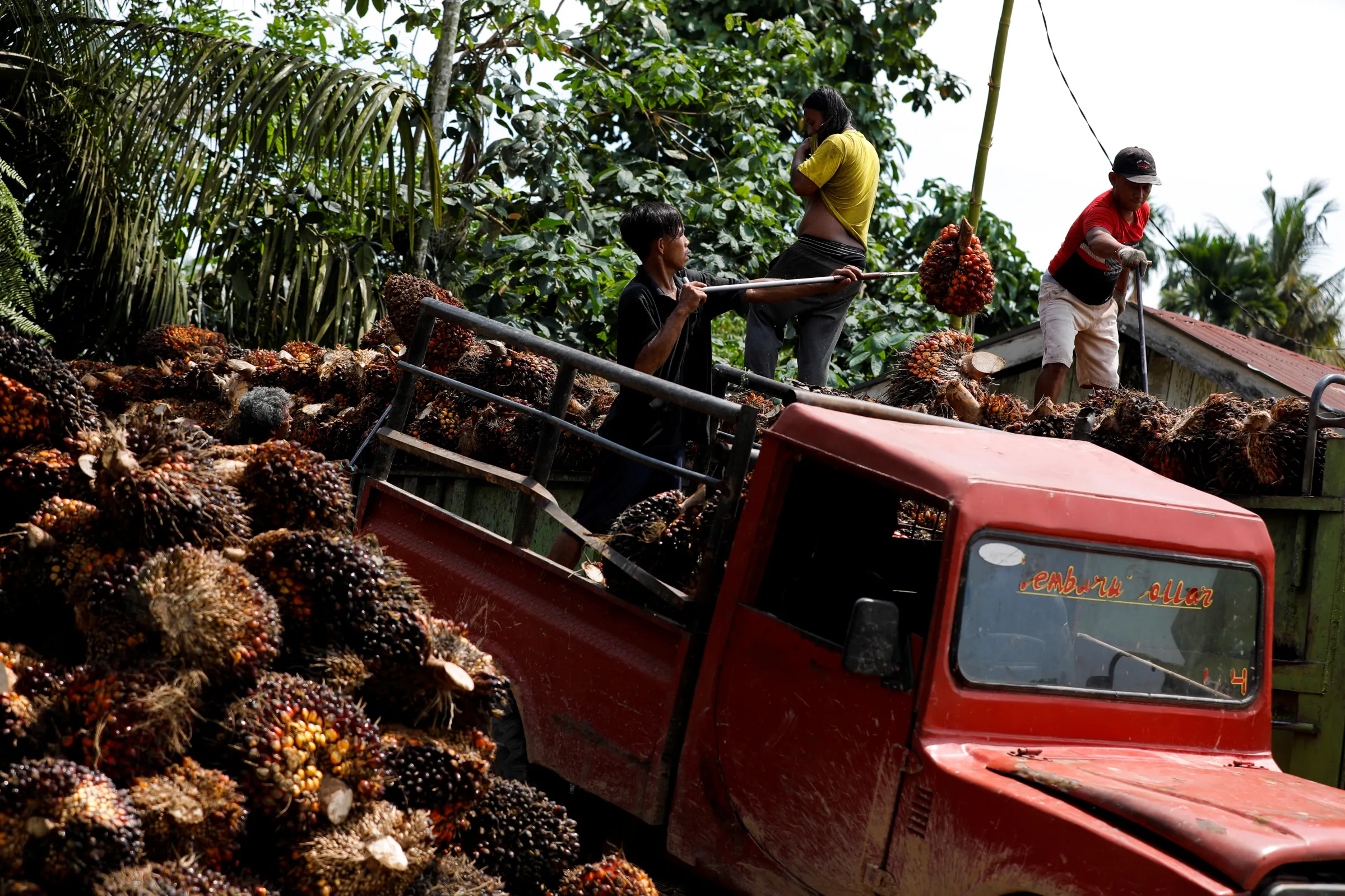 Workers load palm oil fresh fruit bunches to be transported from the collector site to CPO factories in Pekanbaru, Riau province, Indonesia, April 27, 2022