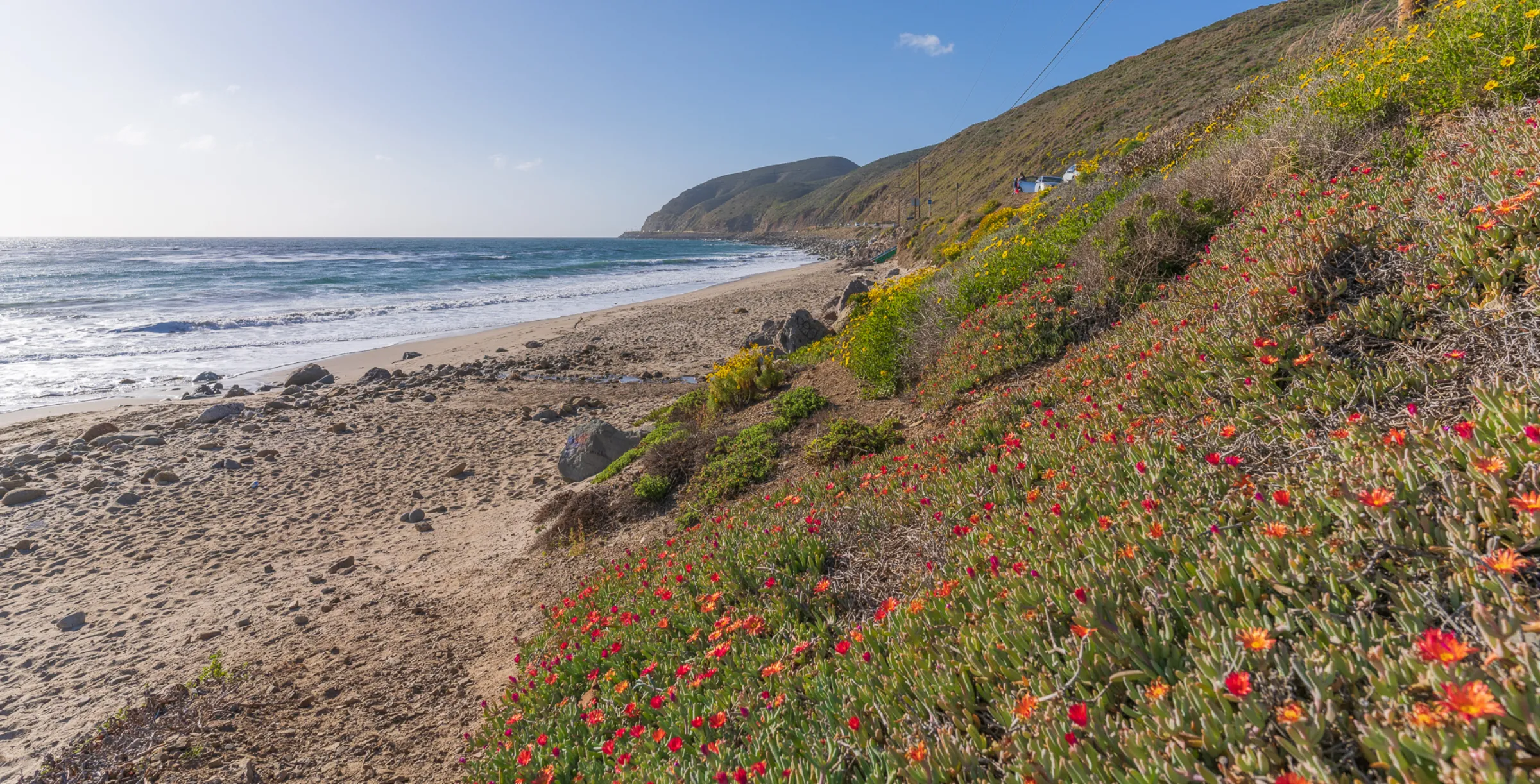 The Deer Creek Beach conservation project in Southern California, seen in 2022, supports the state’s “30x30” conservation goals. Joe Sorrentino/Courtesy of Trust for Public Land staff/Handout via Thomson Reuters Foundation