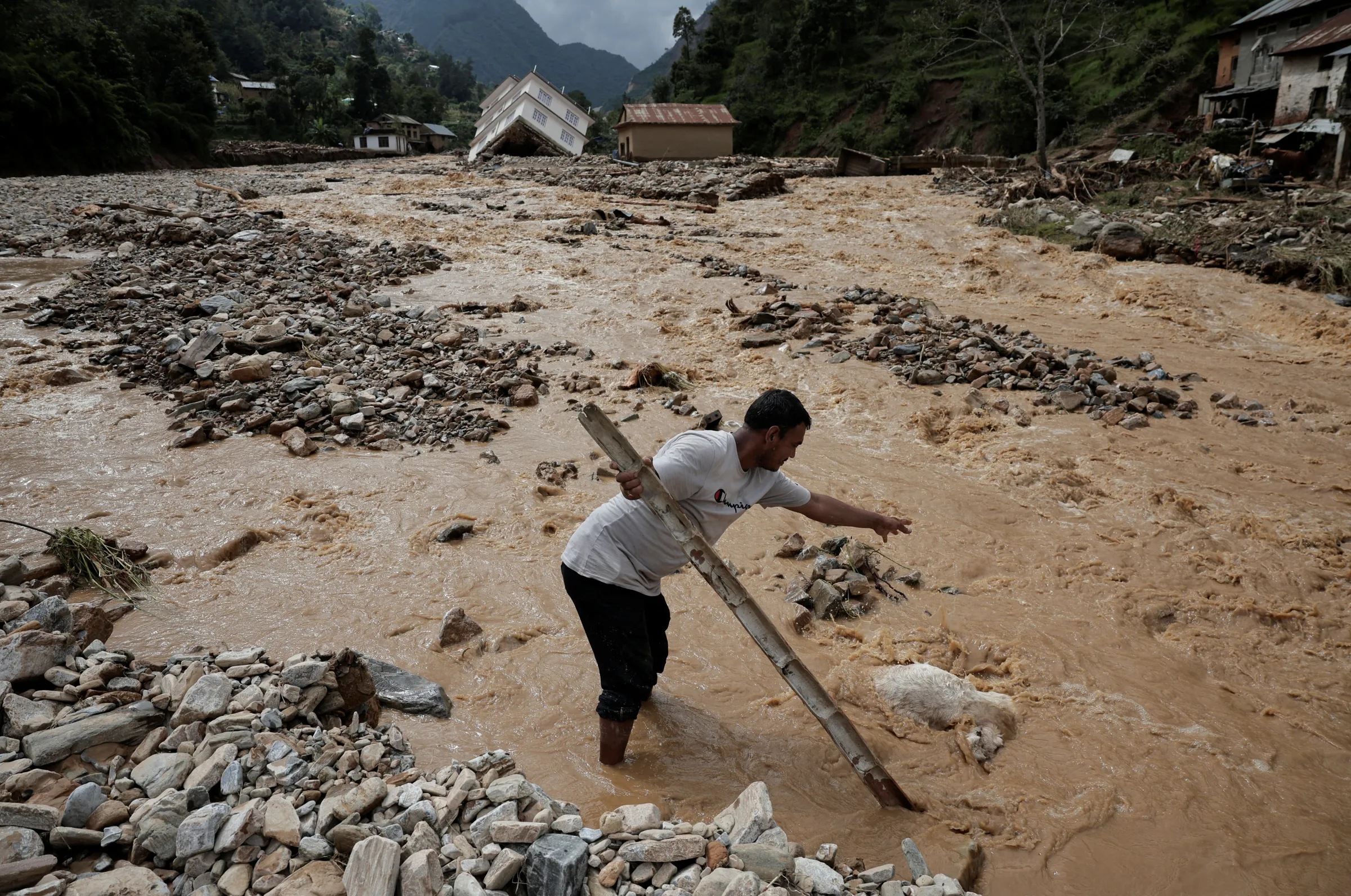 A man releases a dead goat in the river after the deadly flood following heavy rainfall along the bank of Roshi River at Panauti in Kavre, Nepal September 30, 2024. REUTERS/Navesh Chitrakar