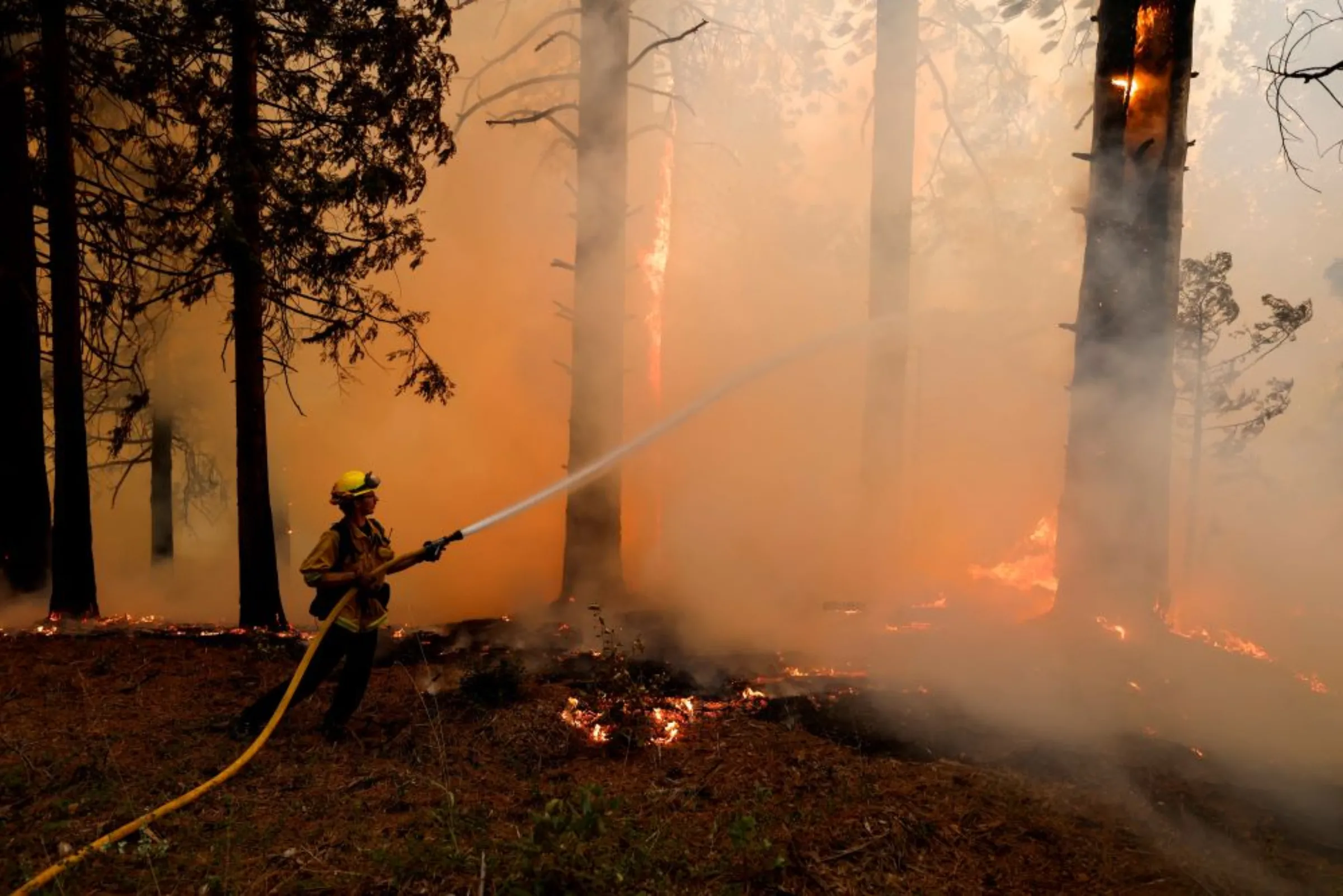 A firefighter hoses down flames from the Mosquito Fire as it burns in Foresthill in Placer County, California, U.S., September 7, 2022