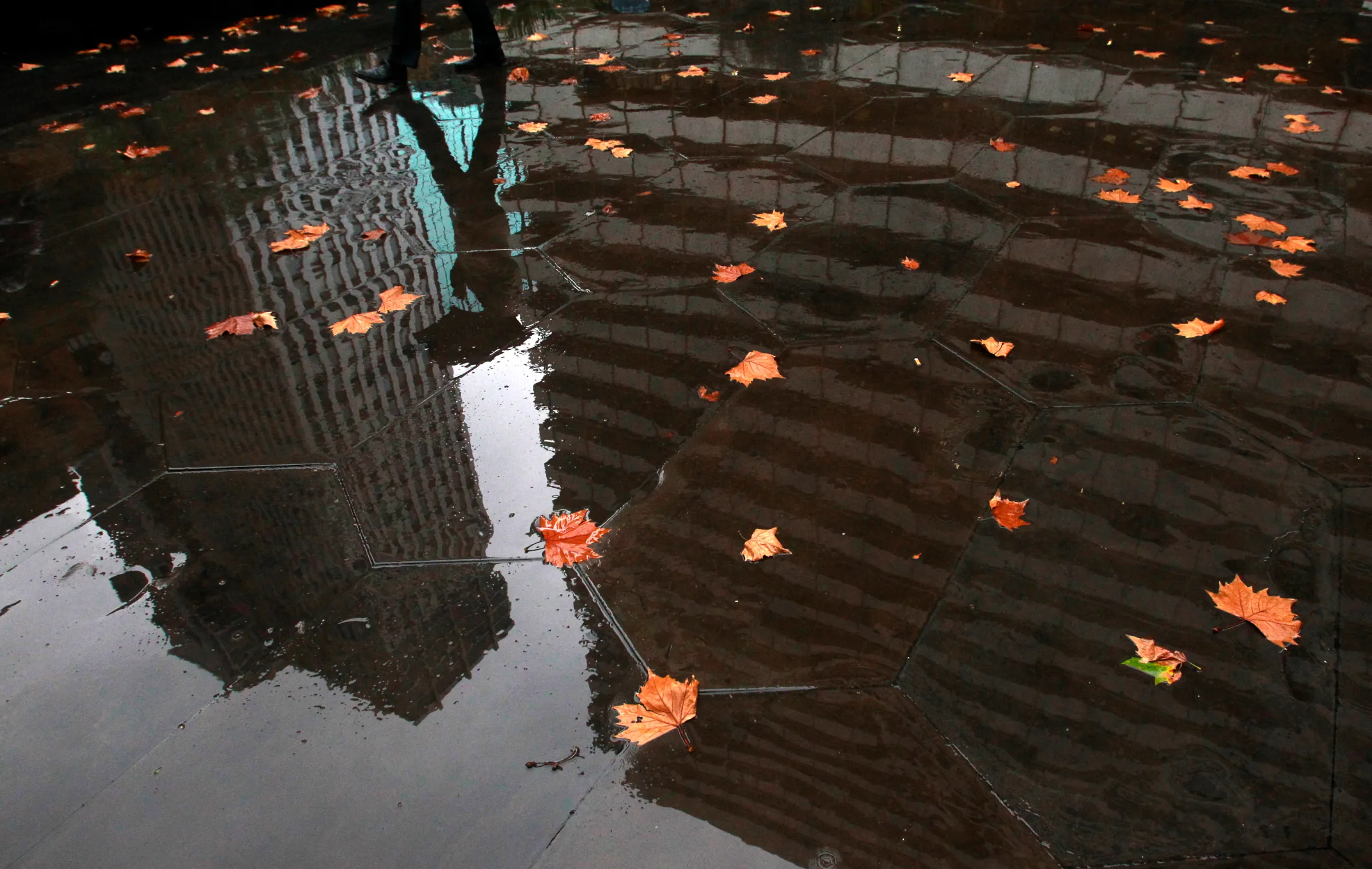The reflection of an office worker is seen in Central Melbourne May 11, 2011. REUTERS/Mick Tsikas