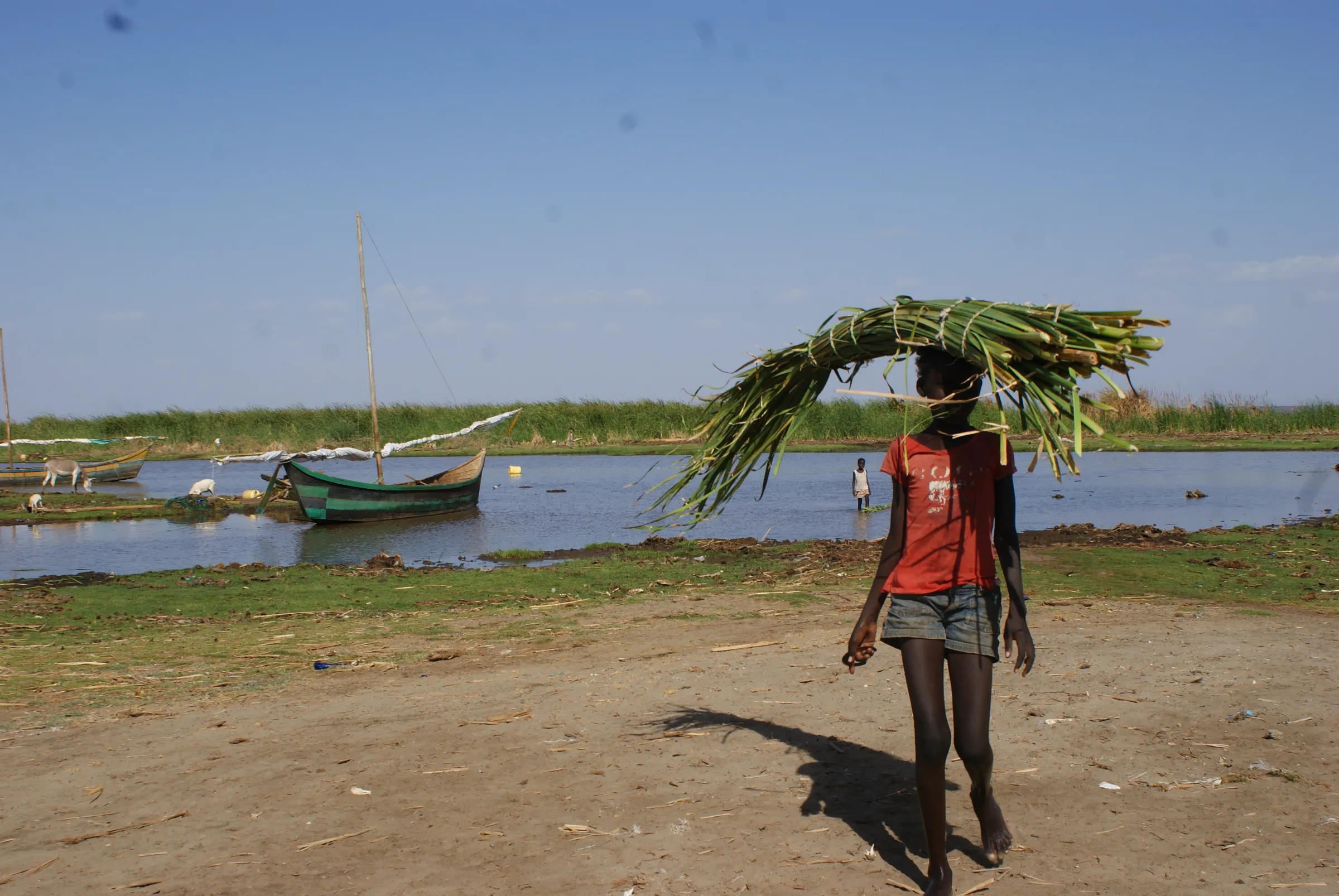 People carry harvested water reeds in Kanamukuny village, northern Kenya, 19 September, 2022. THOMSON REUTERS FOUNDATION/Kagondu Njagi