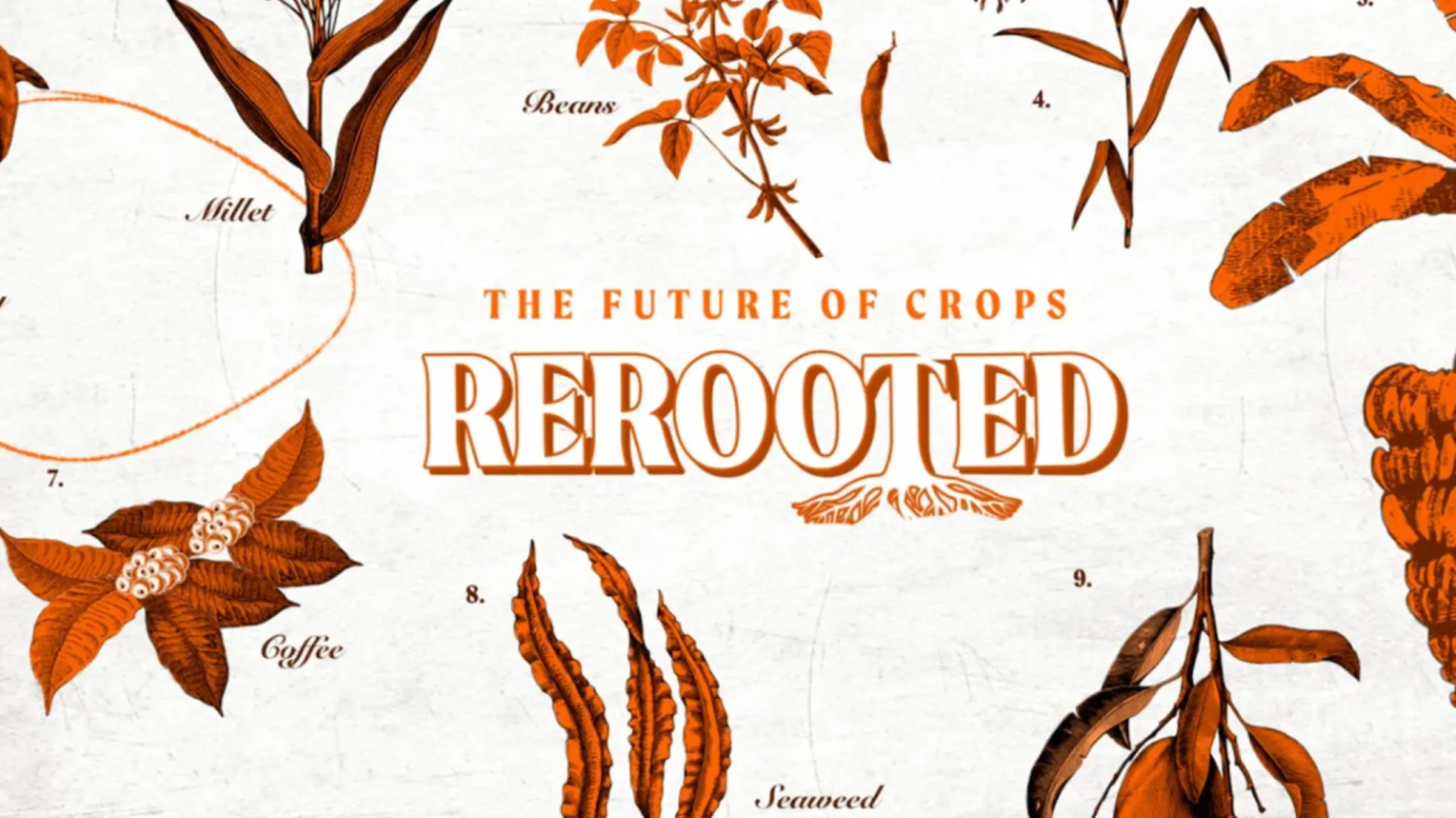 Crops including coffee and rice are shown in orange on white background in this illustration. The text reads: THE FUTURE OF CROPS, REROOTED. Thomson Reuters Foundation/Karif Wat