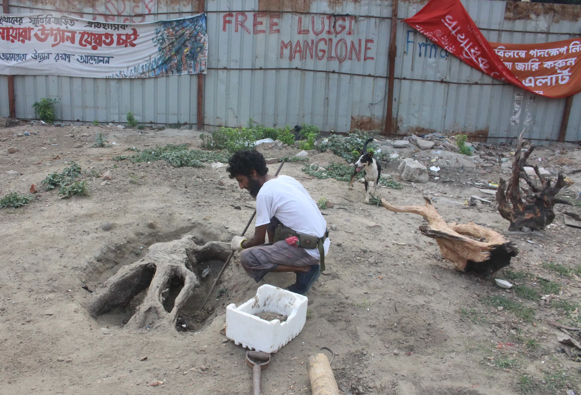 Syed Md Zakir, an artist and member of Bangladesh Tree Protection Movement, digs out the stump of a felled tree, Dhaka, Bangladesh, April 26, 2025. Md. Tahmid Zami/ Thomson Reuters Foundation