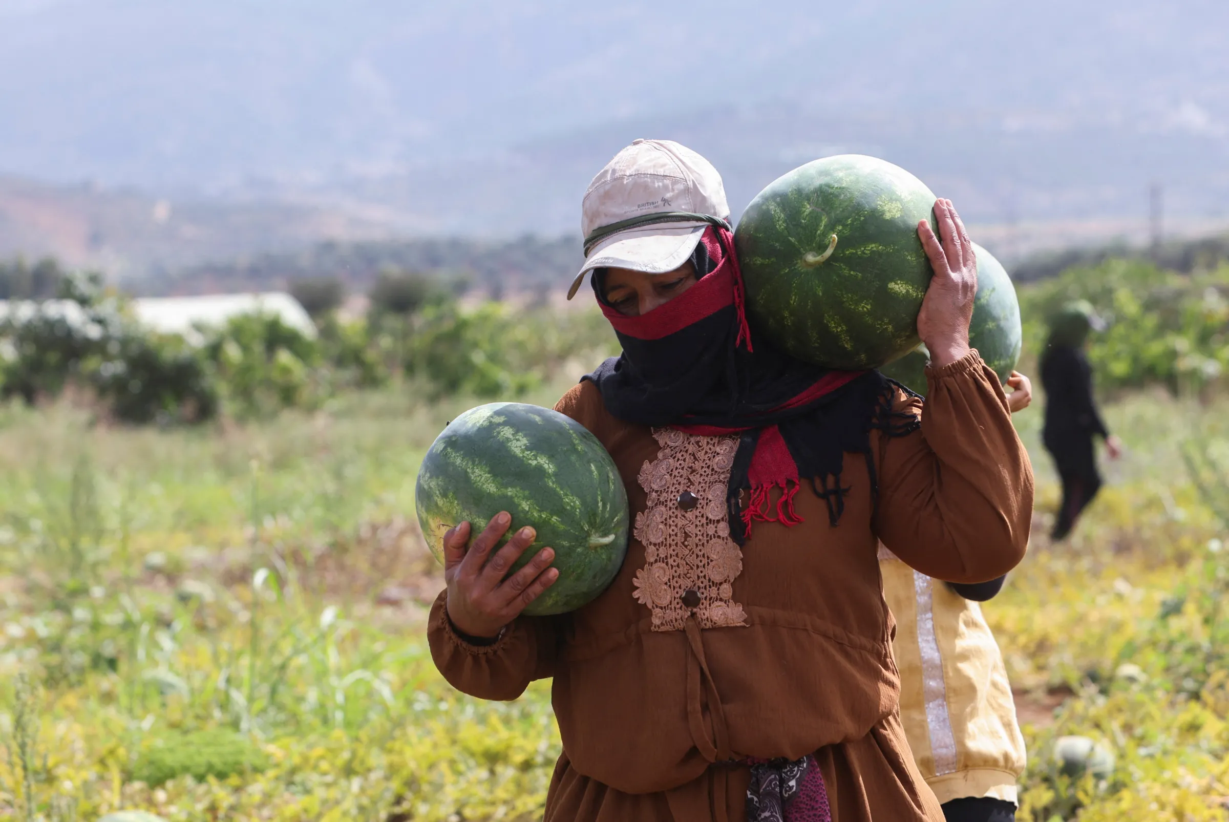 A female farmer carries watermelons during harvest season in a field in the village of El-Mari, in southern Lebanon June 9, 2023. REUTERS/Aziz Taher