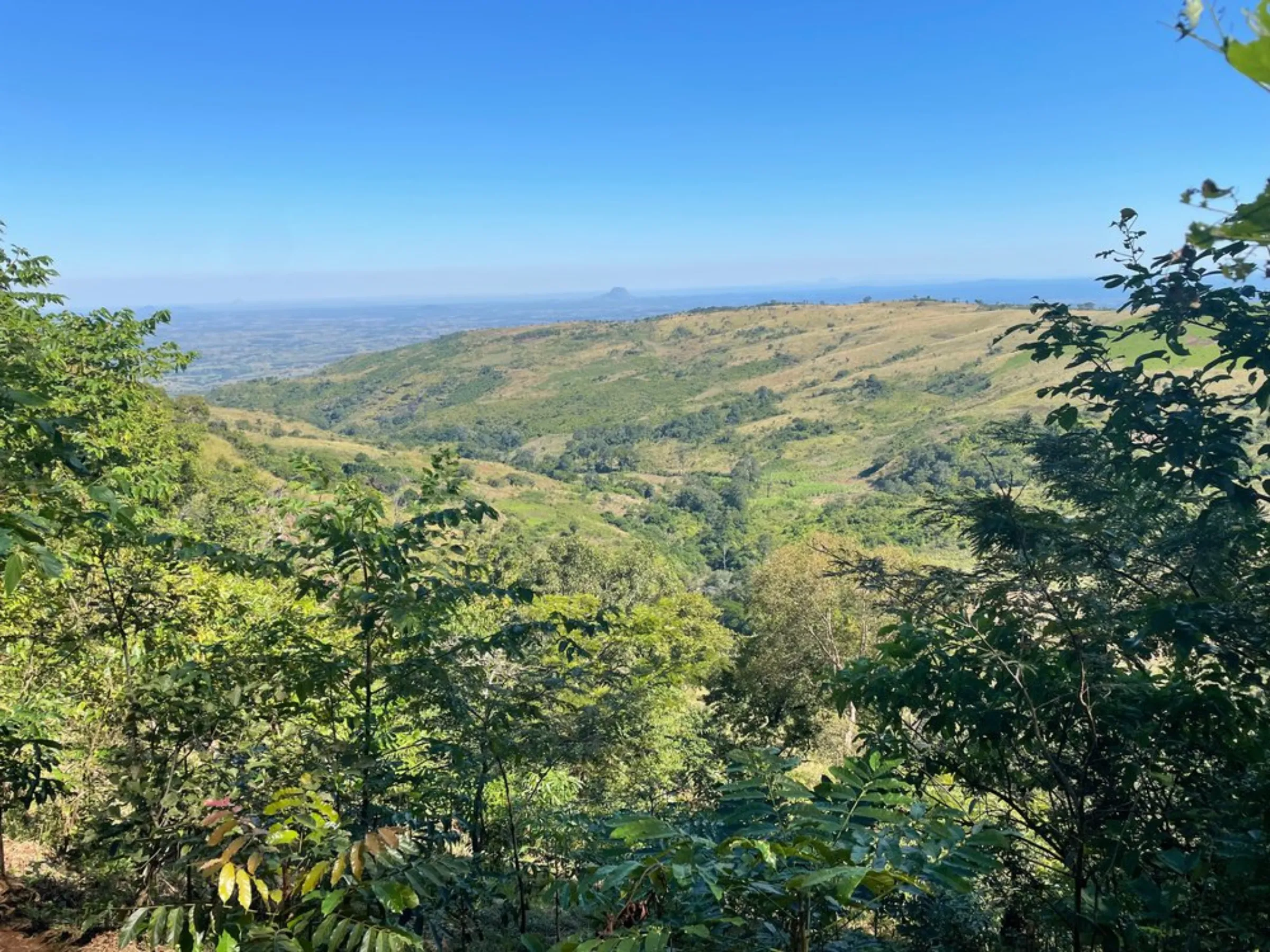 A view of green hills on Mount Gorongosa, Mozambique, where agroforestry and reforestation projects are being carried out, May 26, 2022