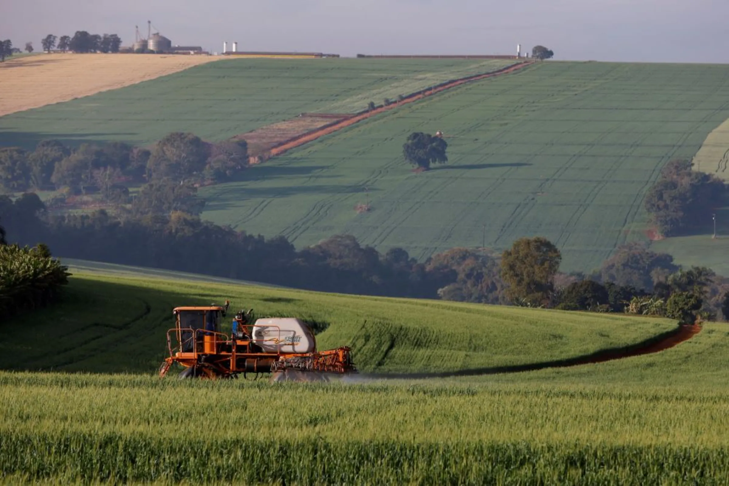 A tractor sprays pesticides on wheat crops to be harvested this year, in Arapongas, Brazil July 6, 2022. REUTERS/Rodolfo Buhrer