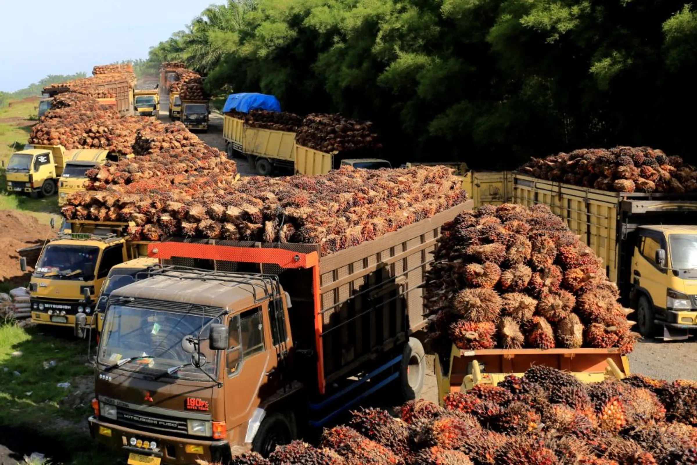 Trucks with palm oil fresh fruit bunches queue for unloading at a factory in West Aceh, Indonesia, May 17, 2022