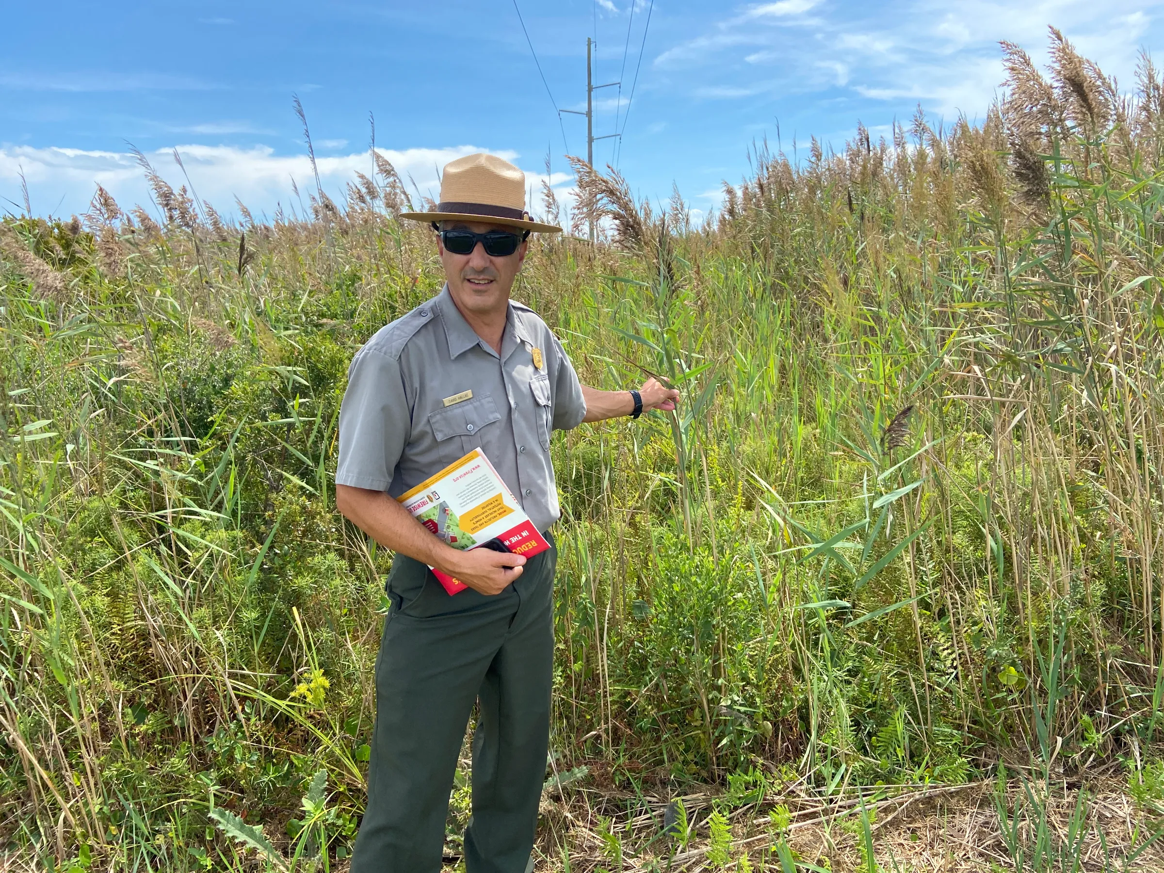 David Hallac, superintendent of the National Parks of Eastern North Carolina, grasps a reed -  which can be flammable if not maintained properly – near south Nags Head, North Carolina, September 6, 2022