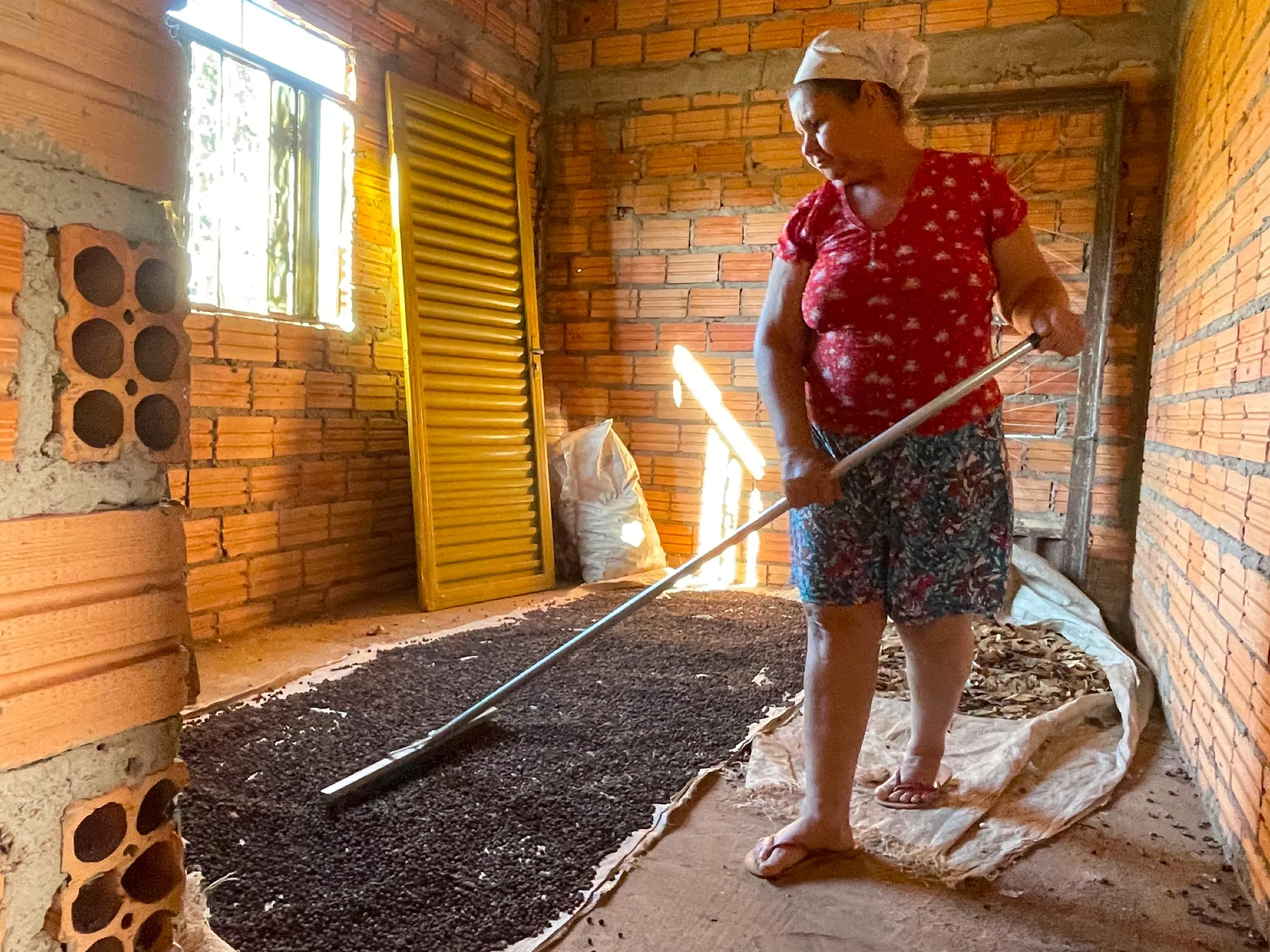 Seed collector Vera Alves da Silva Oliveira arranges seeds to dry on the floor in Nova Xavantina, Brazil, August 21, 2025. THOMSON REUTERS FOUNDATION/André Cabette Fábio