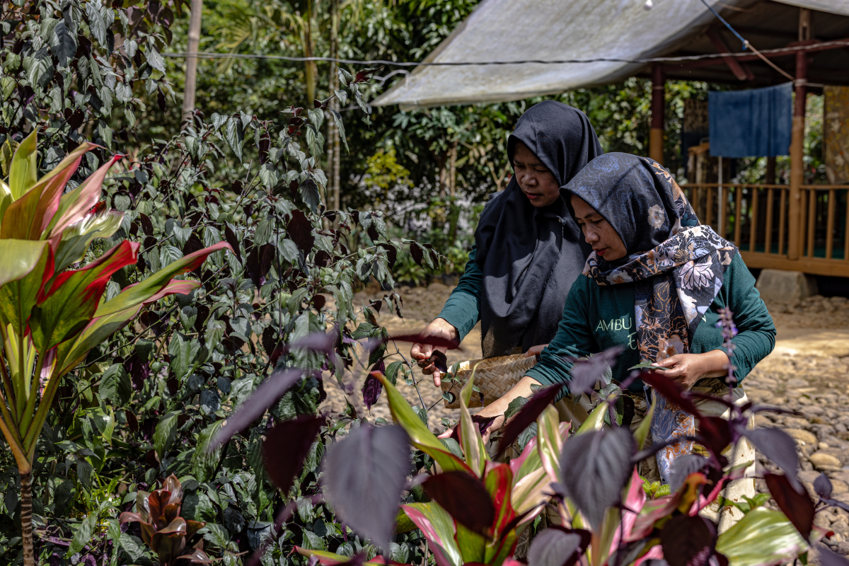 Rainforest to retail: Indonesian women protect nature with work