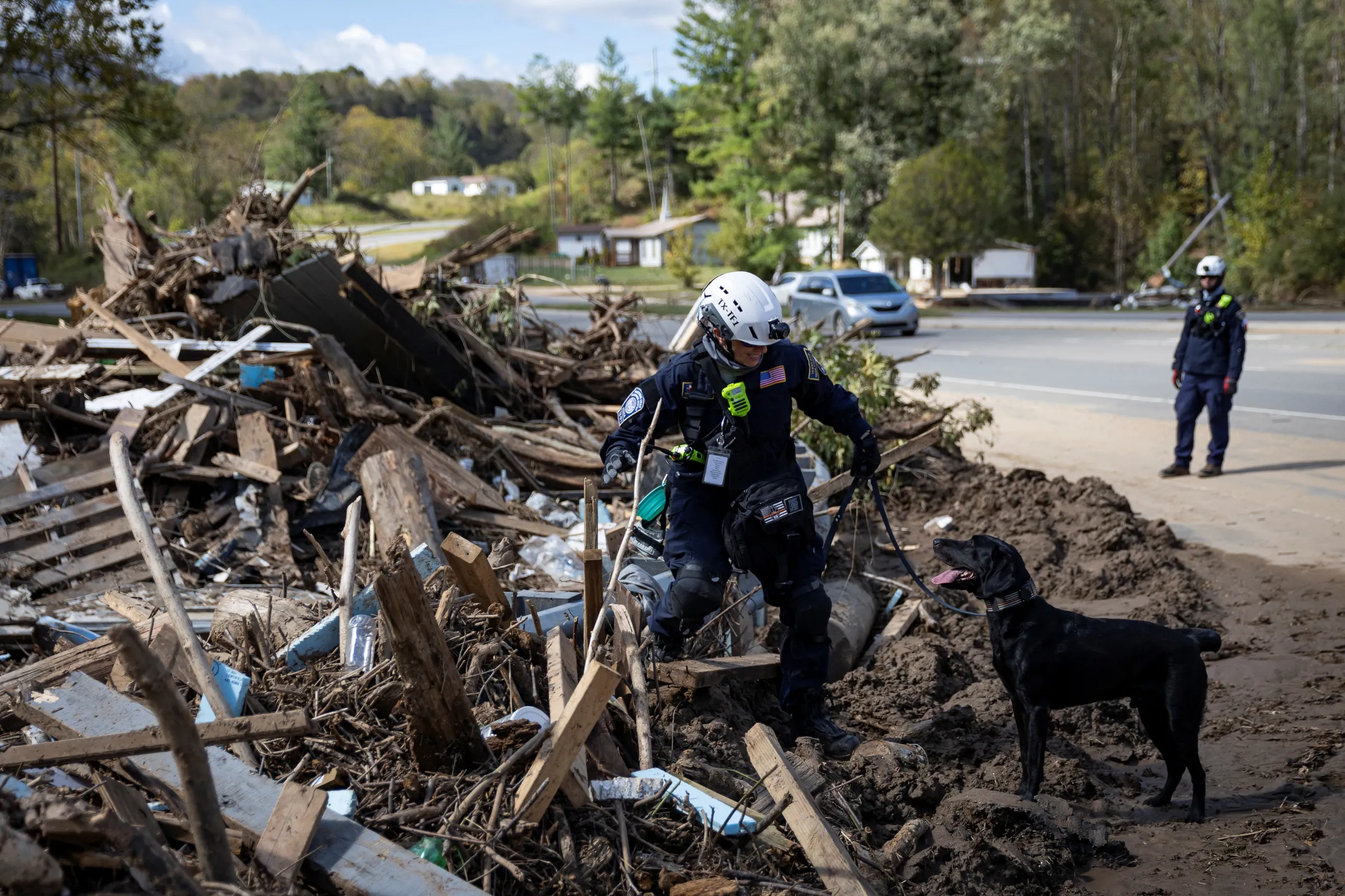 A Texas A&M Task Force 1 member with a human remains search dog scans an area following the passing of Hurricane Helene, in Burnsville, North Carolina, U.S., October 2, 2024. REUTERS/Marco Bello