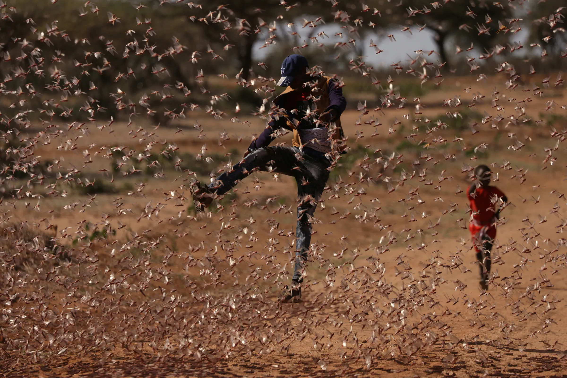 A man tries to chase away a swarm of desert locusts in Naiperere, near the town of Rumuruti, Kenya, January 30, 2021. REUTERS/Baz Ratner