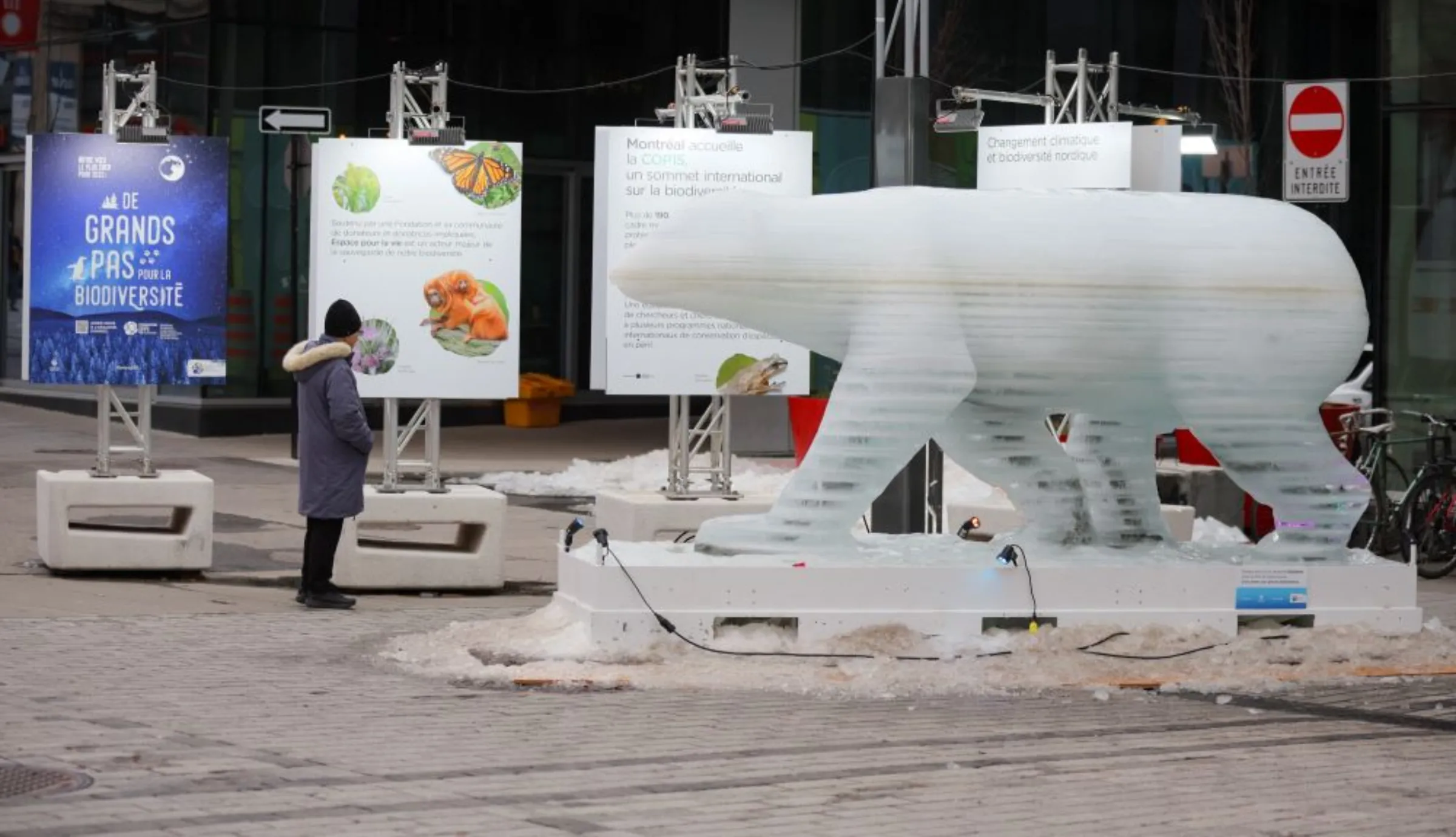 A man stands next to a polar bear ice sculpture, designed to melt and raise awareness of climate change, in the Quartier des spectacles, during COP15, the two-week U.N. biodiversity summit in Montreal, Quebec, Canada December 6, 2022