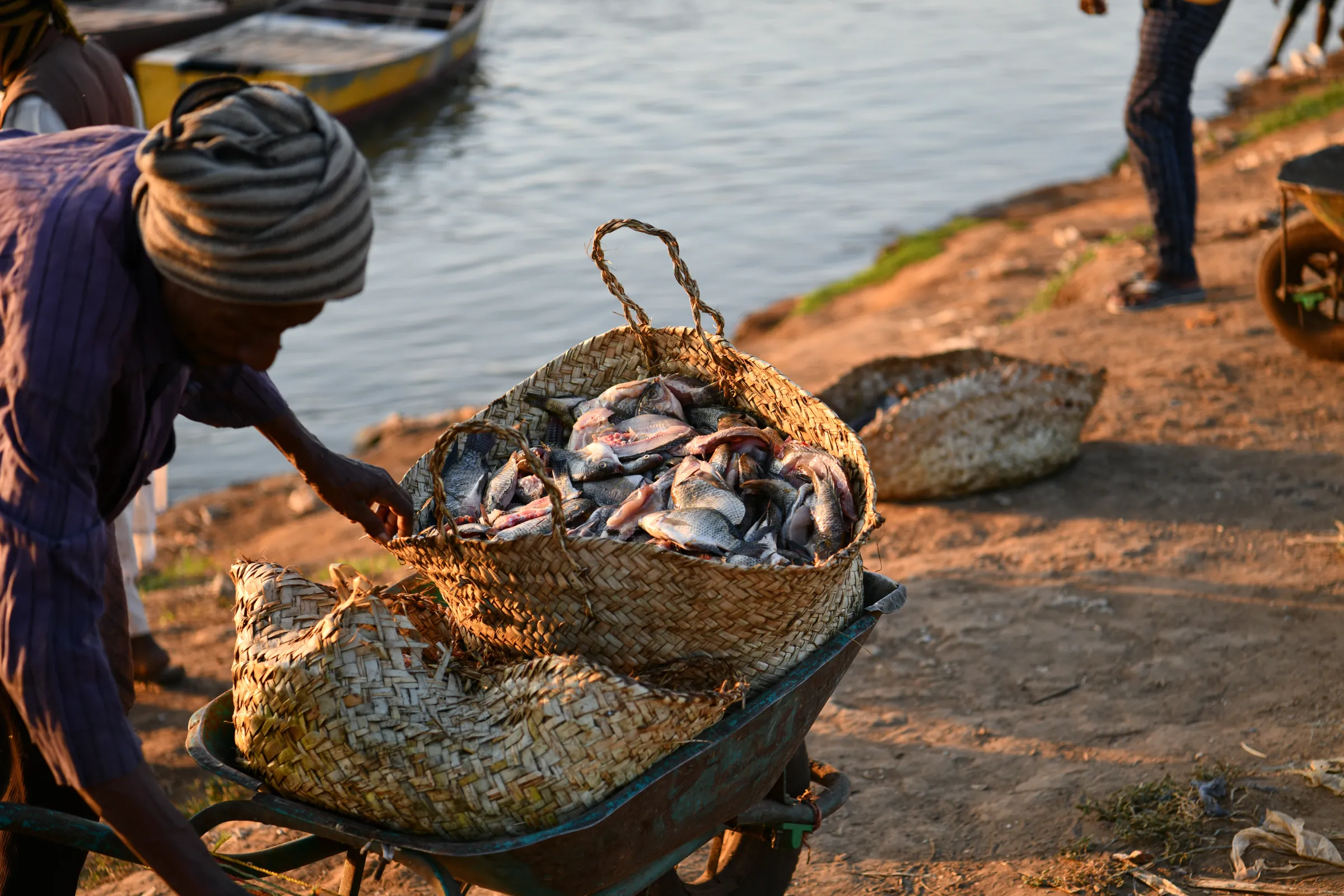 Sudanese workers wash the day’s catches of fish by the Nile River bank, before transporting the produce to vendors at Al-Mawrada Fish Market in Omdurman, Sudan, January 7, 2023. Thomson Reuters Foundation/Ela Yokes