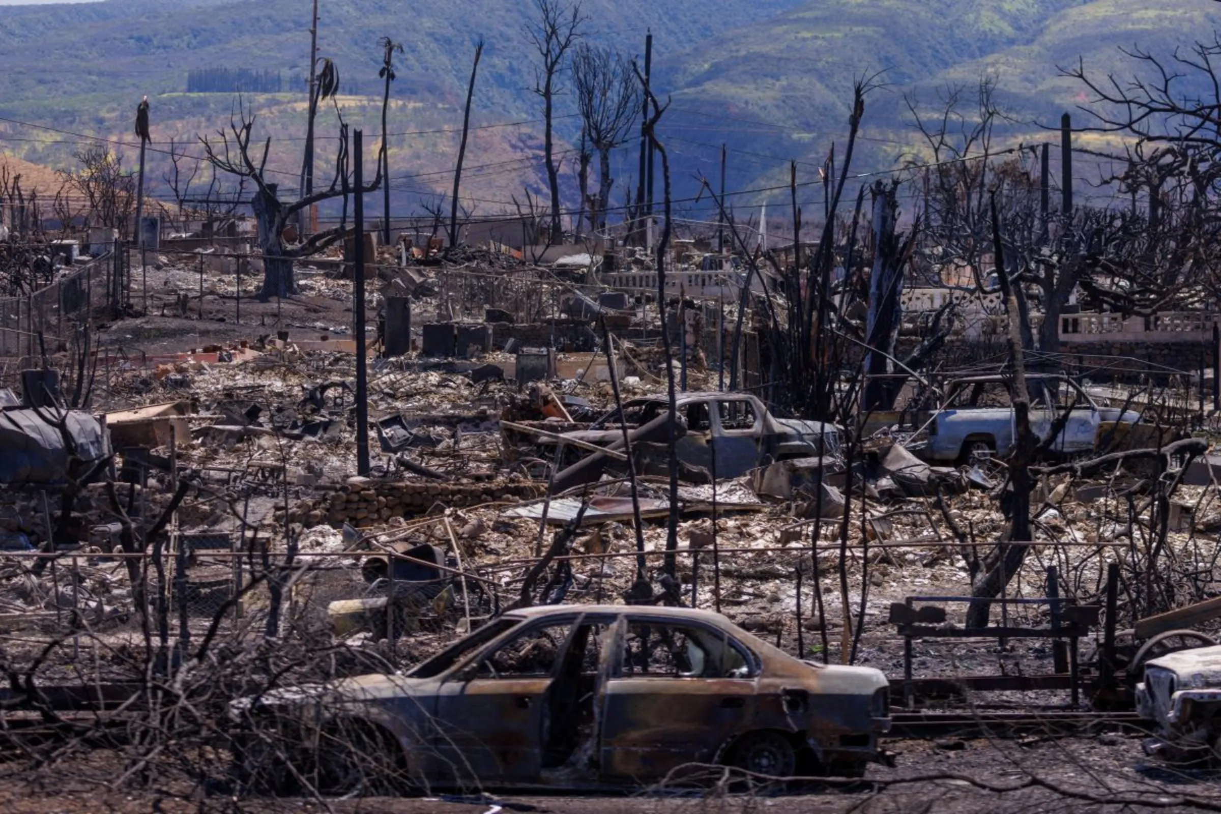 Fire damage is shown in the Wahikuli Terrace neighborhood in the fire ravaged town of Lahaina on the island of Maui in Hawaii, U.S., August 15, 2023. REUTERS/Mike Blake
