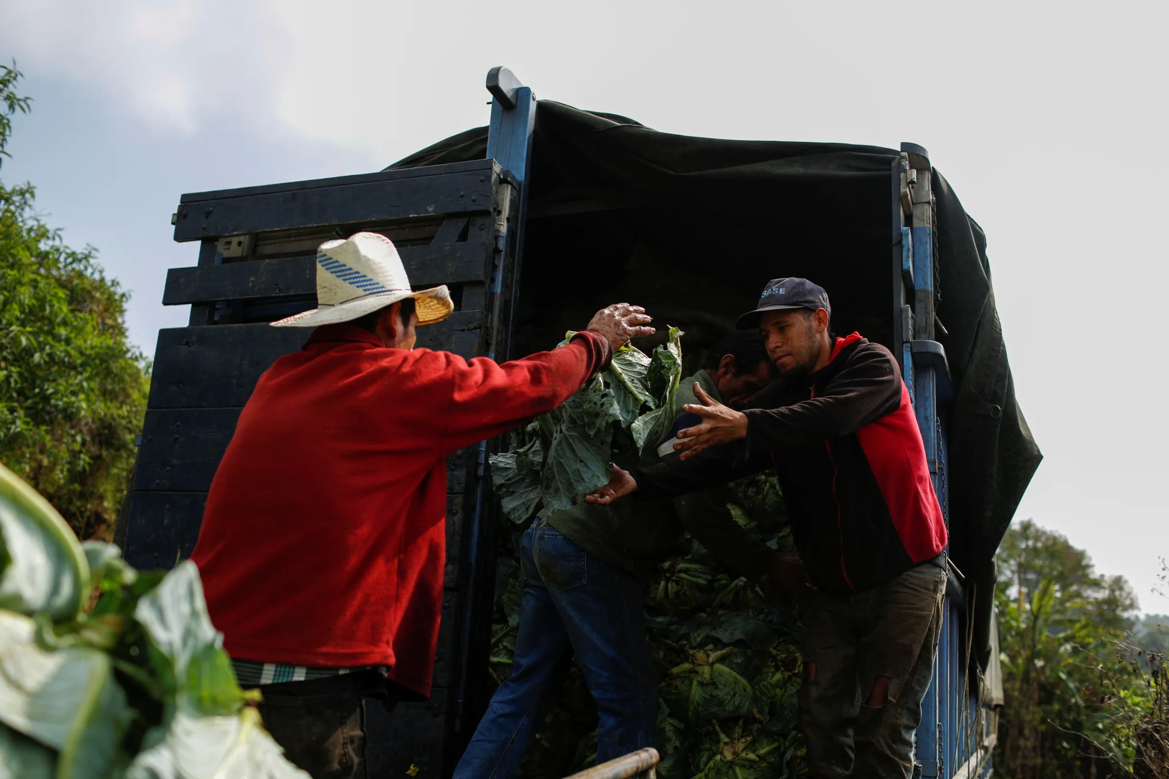 Farmers load a truck with vegetables in San Ignacio, El Salvador May 13, 2020. REUTERS/Jose Cabezas