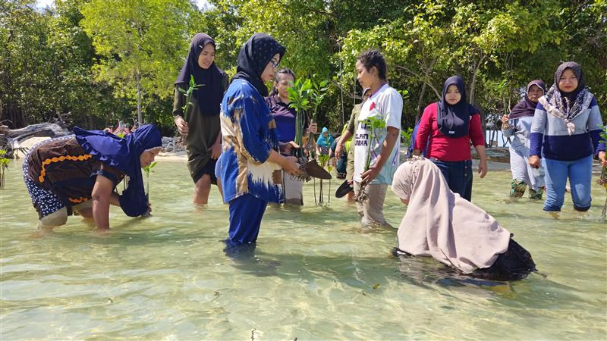 Local women take part in a mangrove planting activity as part of a coastal restoration effort at Rengge Beach, Pari Island, North Jakarta, Indonesia, October 31, 2025. /Leo Galuh
