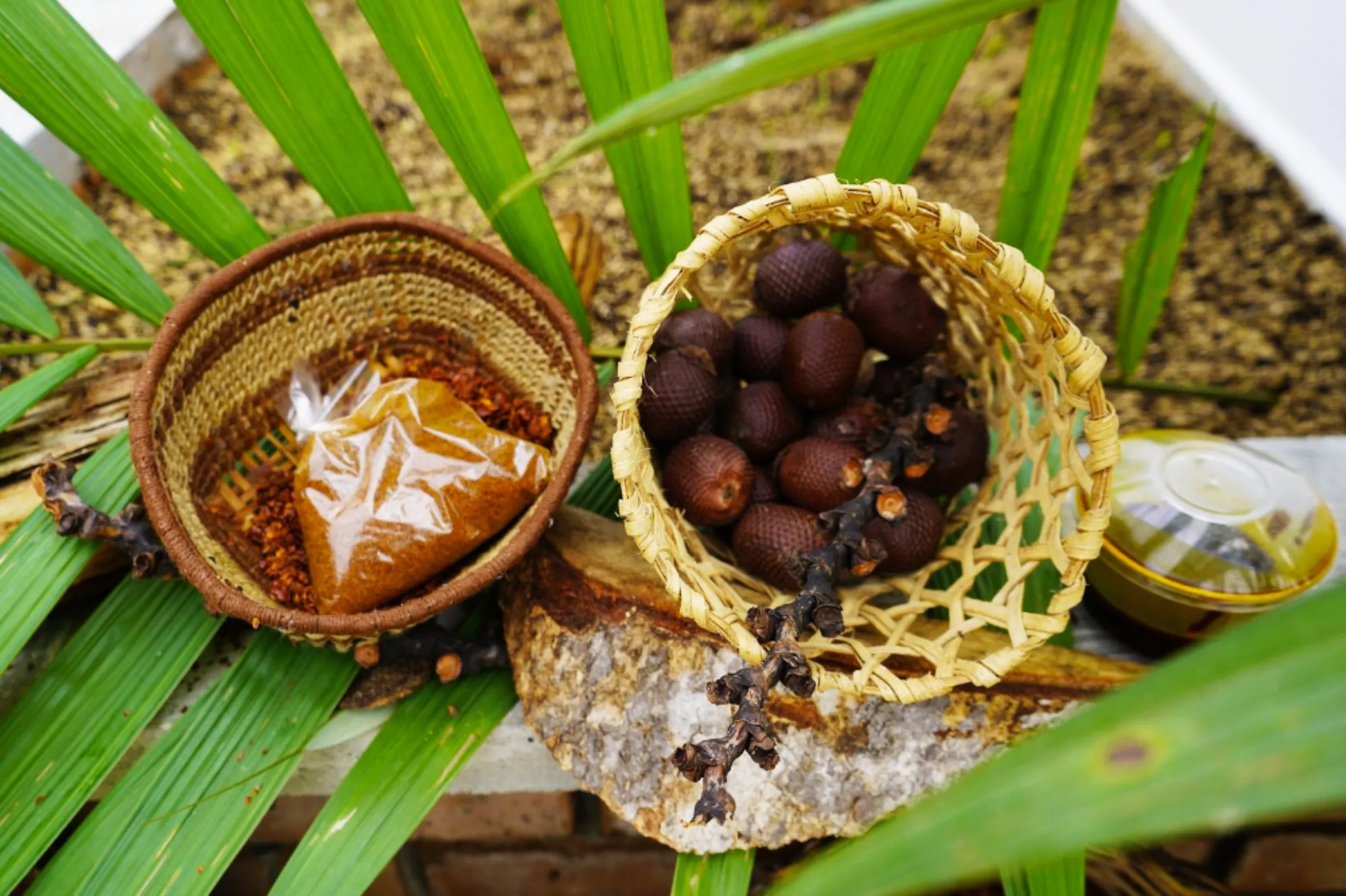 The Amazonian canangucha fruit from which oil can be extracted and used by cosmetic companies, Putumayo, Colombia. February 2, 2023