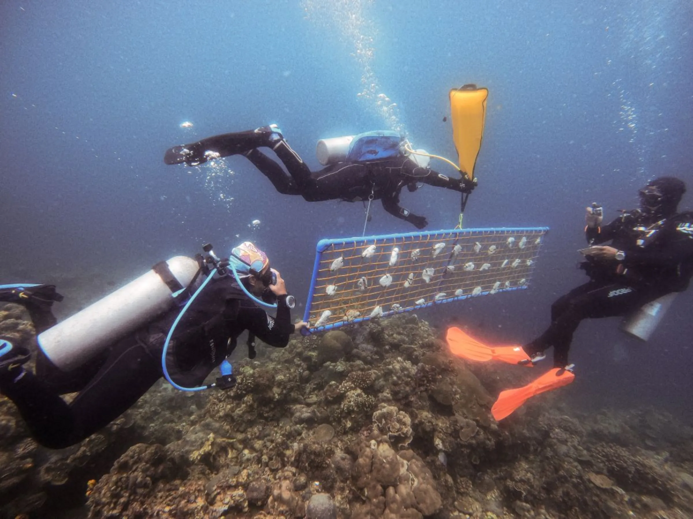Divers hold a frame for an underwater coral nursery in Bauan, Batangas Province, Philippines, March 10, 2024. REUTERS/Peter Blaza