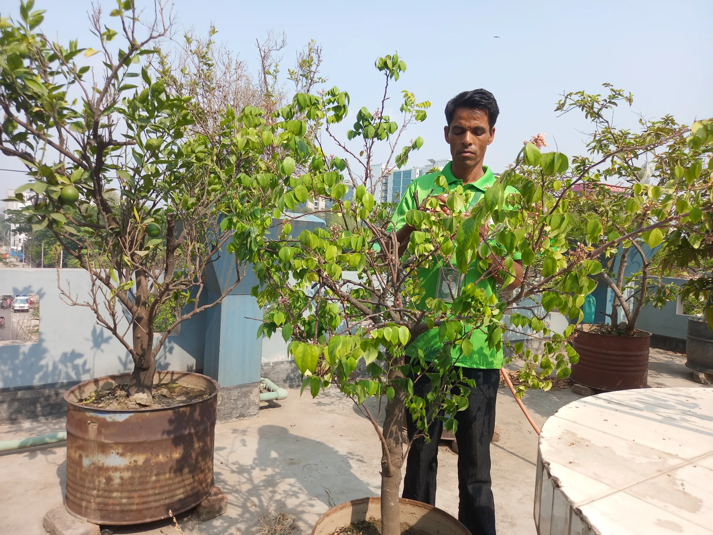 Md Dulal Miya, 35, a 'plant doctor' with urban greening initiative Green Savers attends to a rooftop garden at a client's office in Dhaka, April 20, 2023. Thomson Reuters Foundation/ Md Tahmid Zami