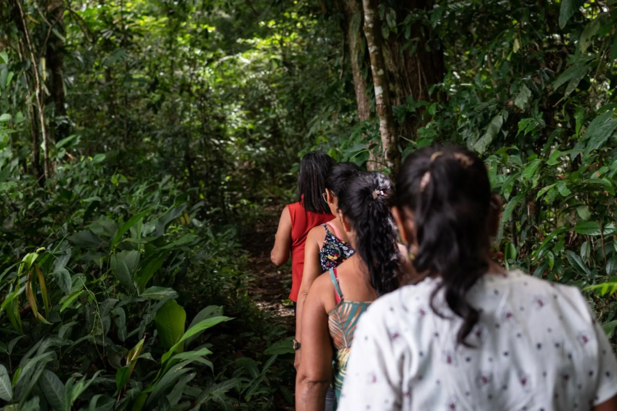 Members of the Aprocamp co-operative trek through the jungle on their way to work in Pará, Brazil, January 18, 2023. Thomson Reuters Foundation/Cícero Pedrosa Neto