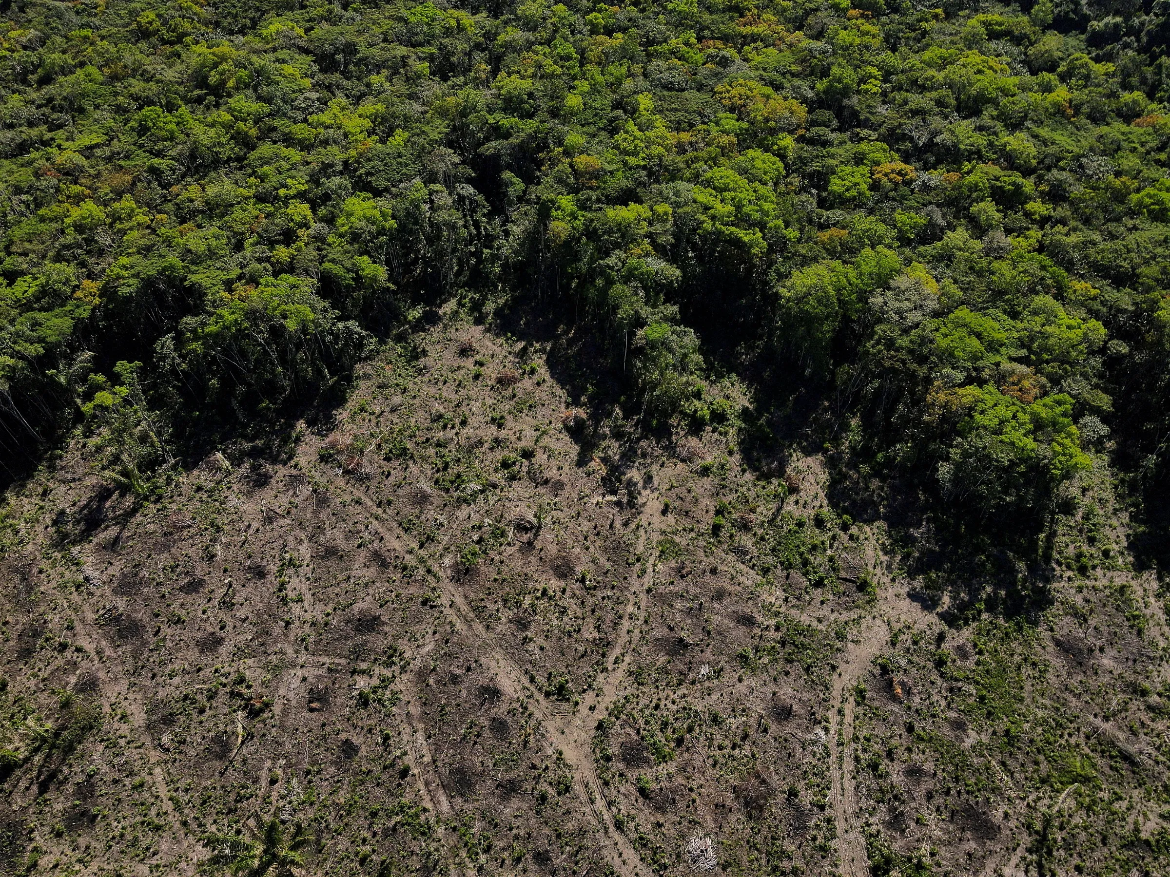 An aerial view shows a deforested plot of the Amazon rainforest in Manaus, Amazonas State, Brazil July 8, 2022. REUTERS/Bruno Kell