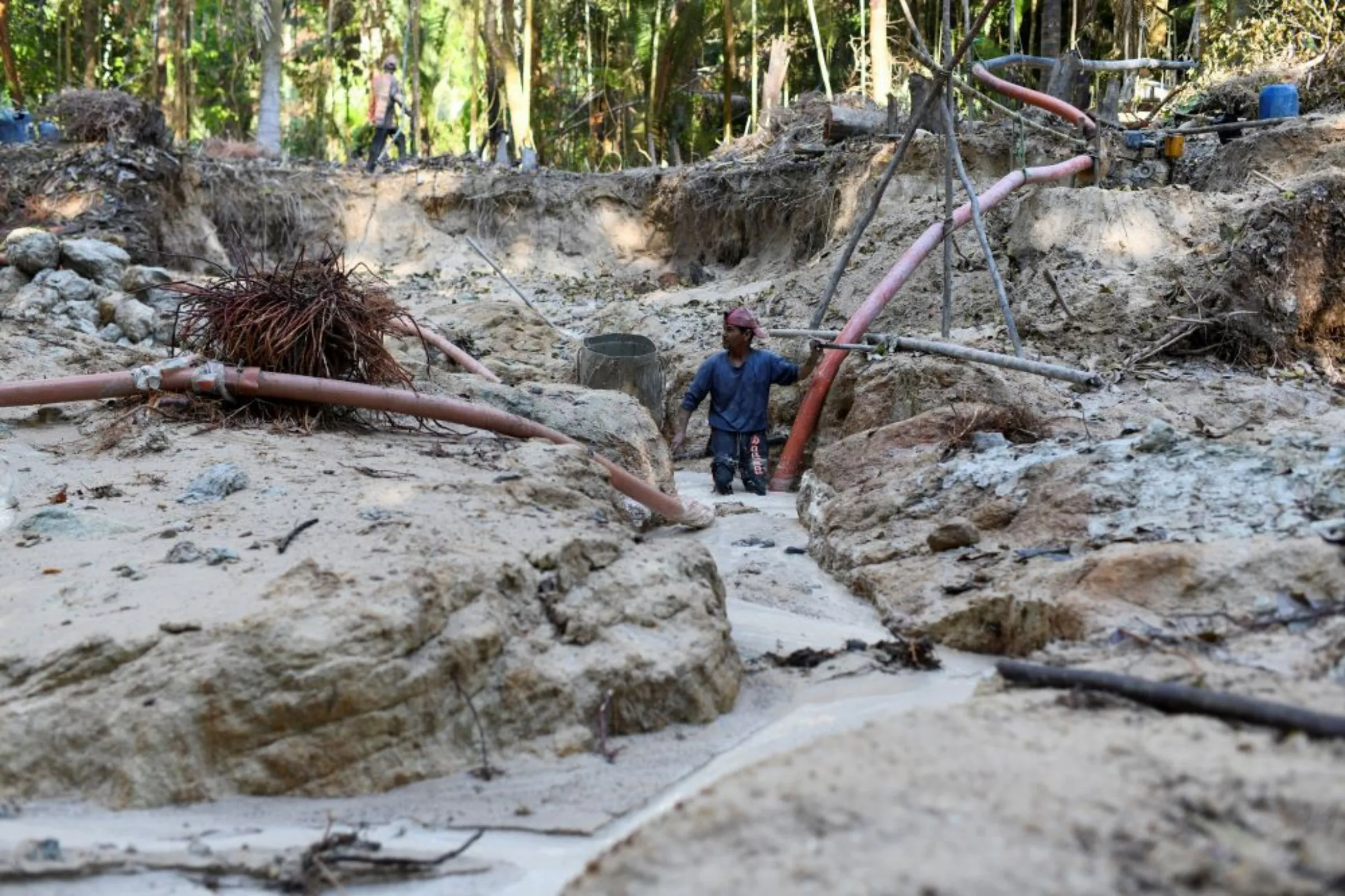 Illegal gold mining booms in Brazilian , harming environment