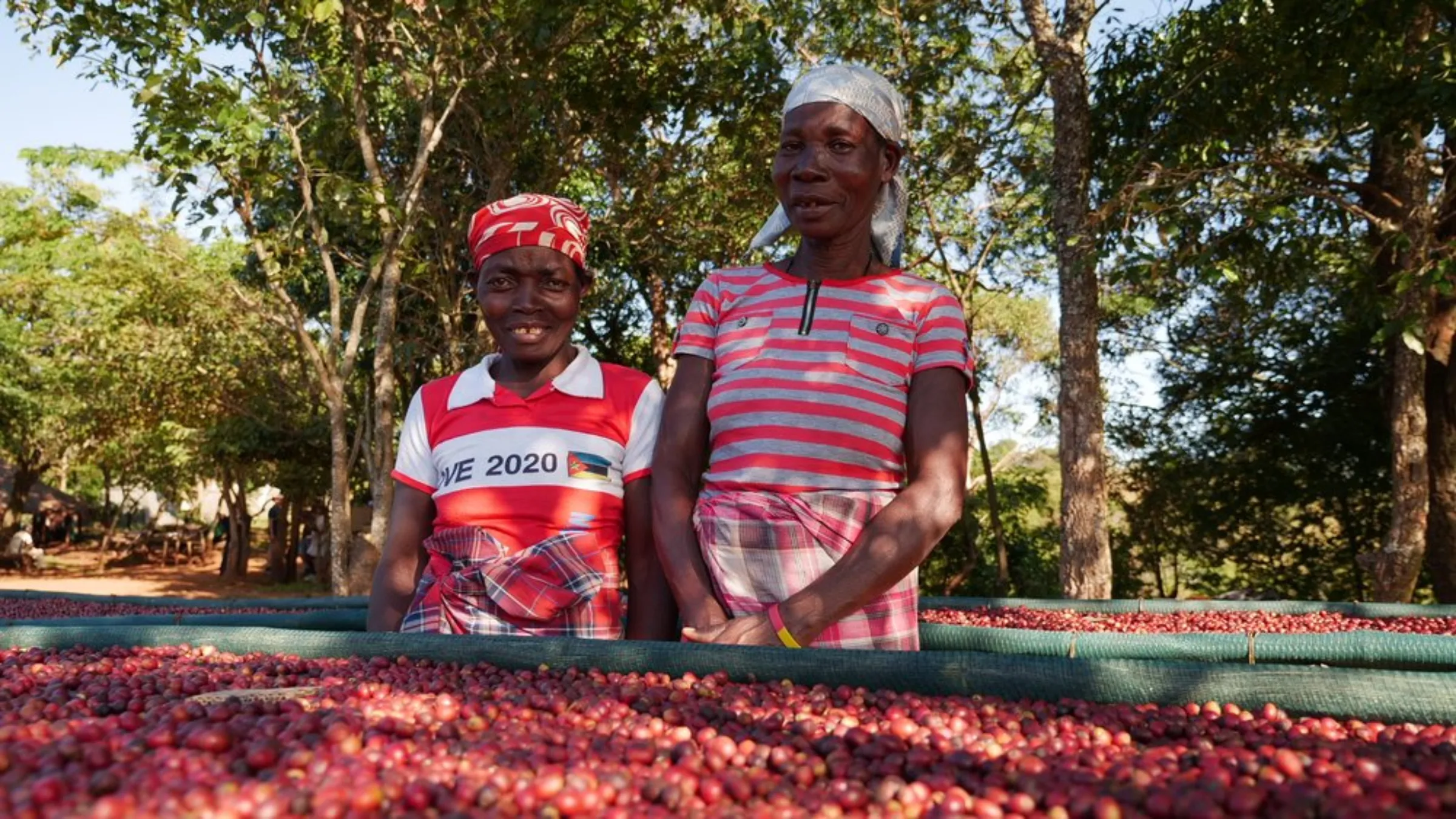 Coffee farmers Imaculada Furanguene and Fatiange Paulino smile alongside drying red coffee beans on Mount Gorongosa in Mozambique, May 26, 2022