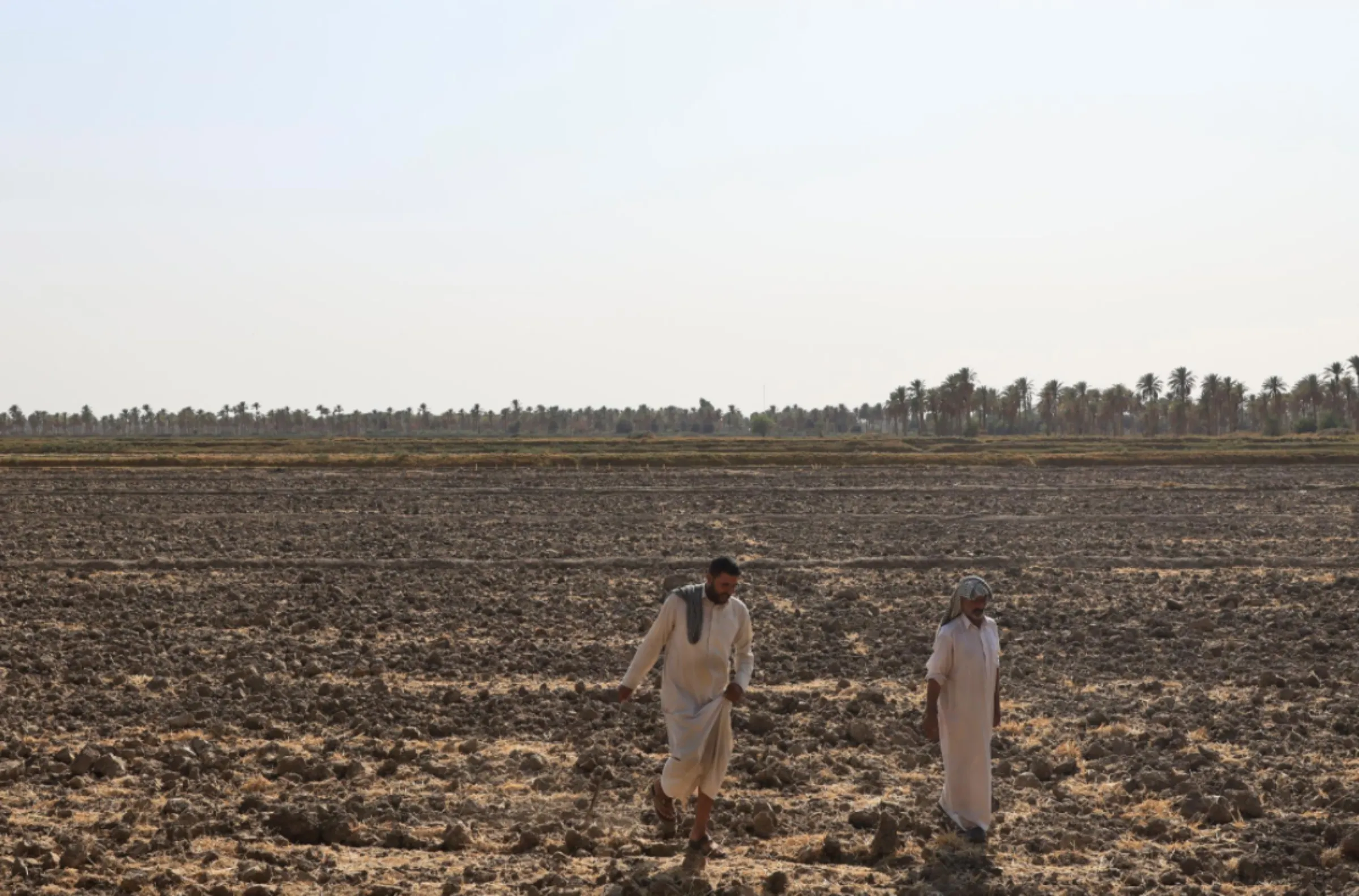 Abed al-Hussein Kusayr and his son walk on their farm in al-Meshkhab district in Najaf, Iraq, October, 12, 2022