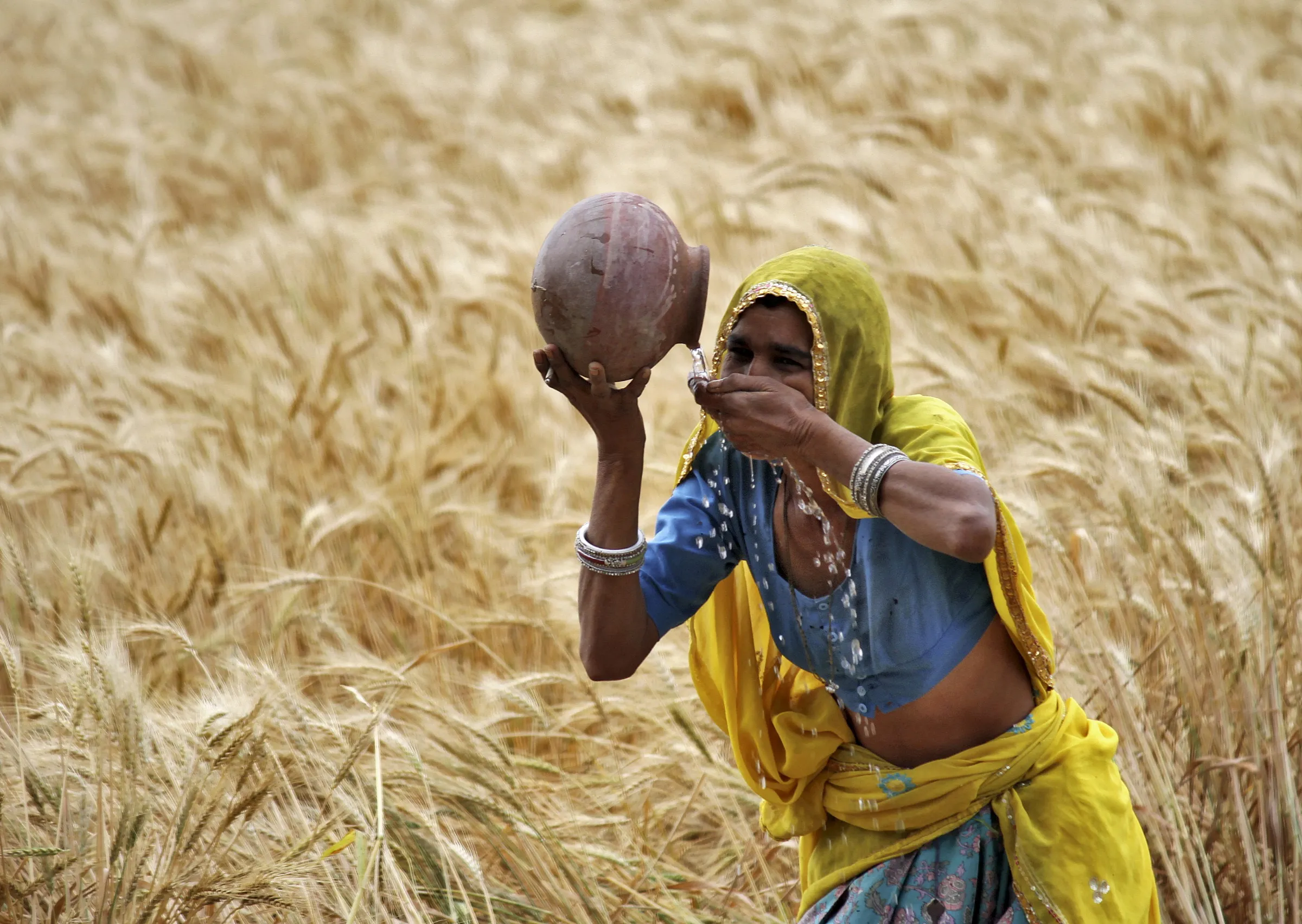 A woman farmer drinks water from an earthen pot in a wheat field on the outskirts of Ajmer in the desert Indian state of Rajasthan, April 4, 2015. India is the world's biggest wheat producer after China. REUTERS/Himanshu Sharma