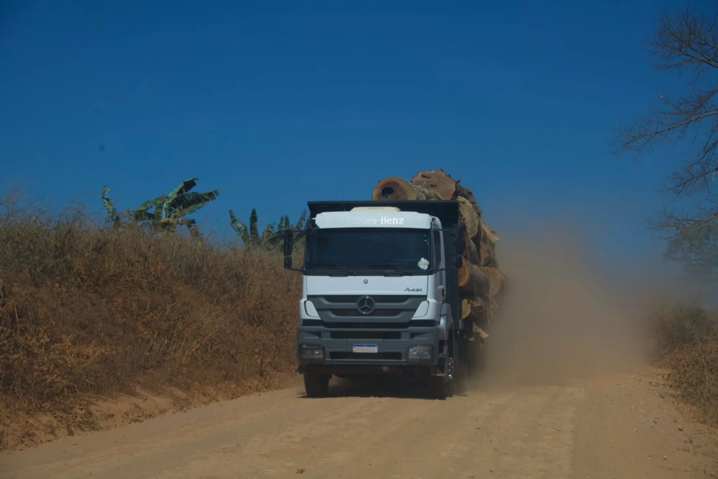 A truck carrying timber drives down a highway near Colniza, in the state of Mato Grosso, Brazil, May 31, 2022