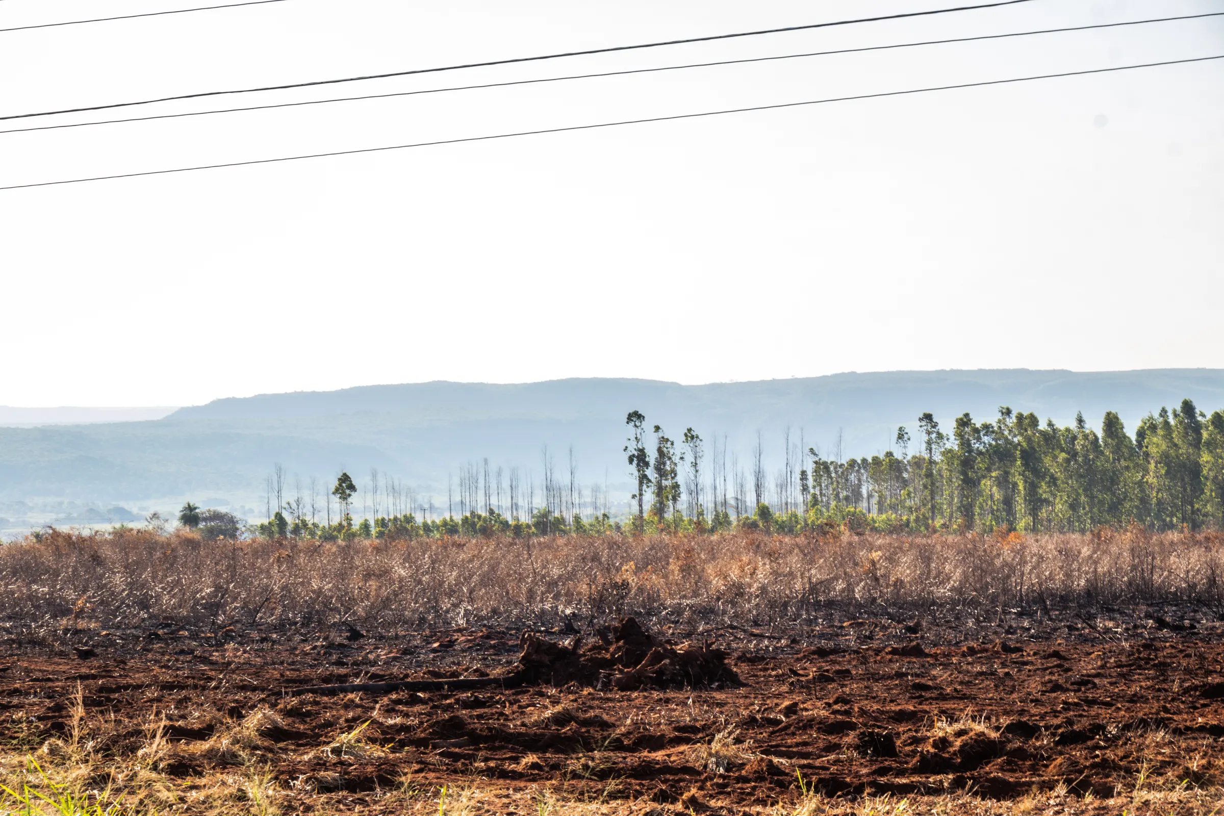 Burned landscape by the road near Campo Grande, Mato Grosso do Sul state, Brazil, September, 15, 2022. Thomson Reuters Foundation/Henrique Kawaminami