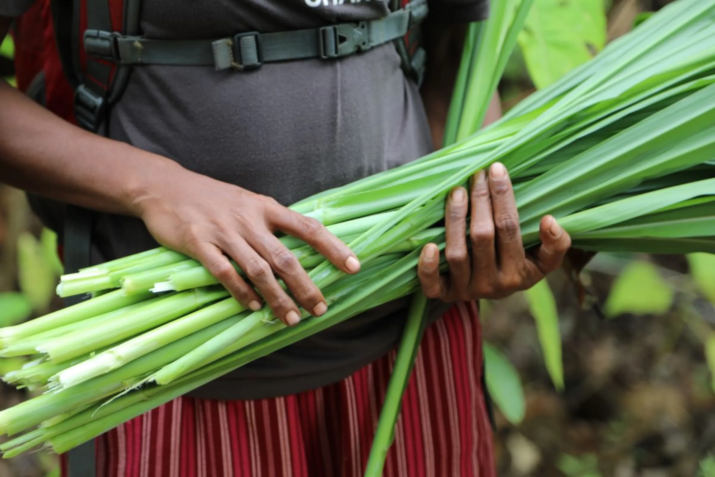 A Wana farmer holding crops harvested from an area of the forest where cultivation is permitted in North Morowali Regency on the Indonesian island of Sulawesi on March 13, 2023. Thomson Reuters Foundation/Peter Yeung