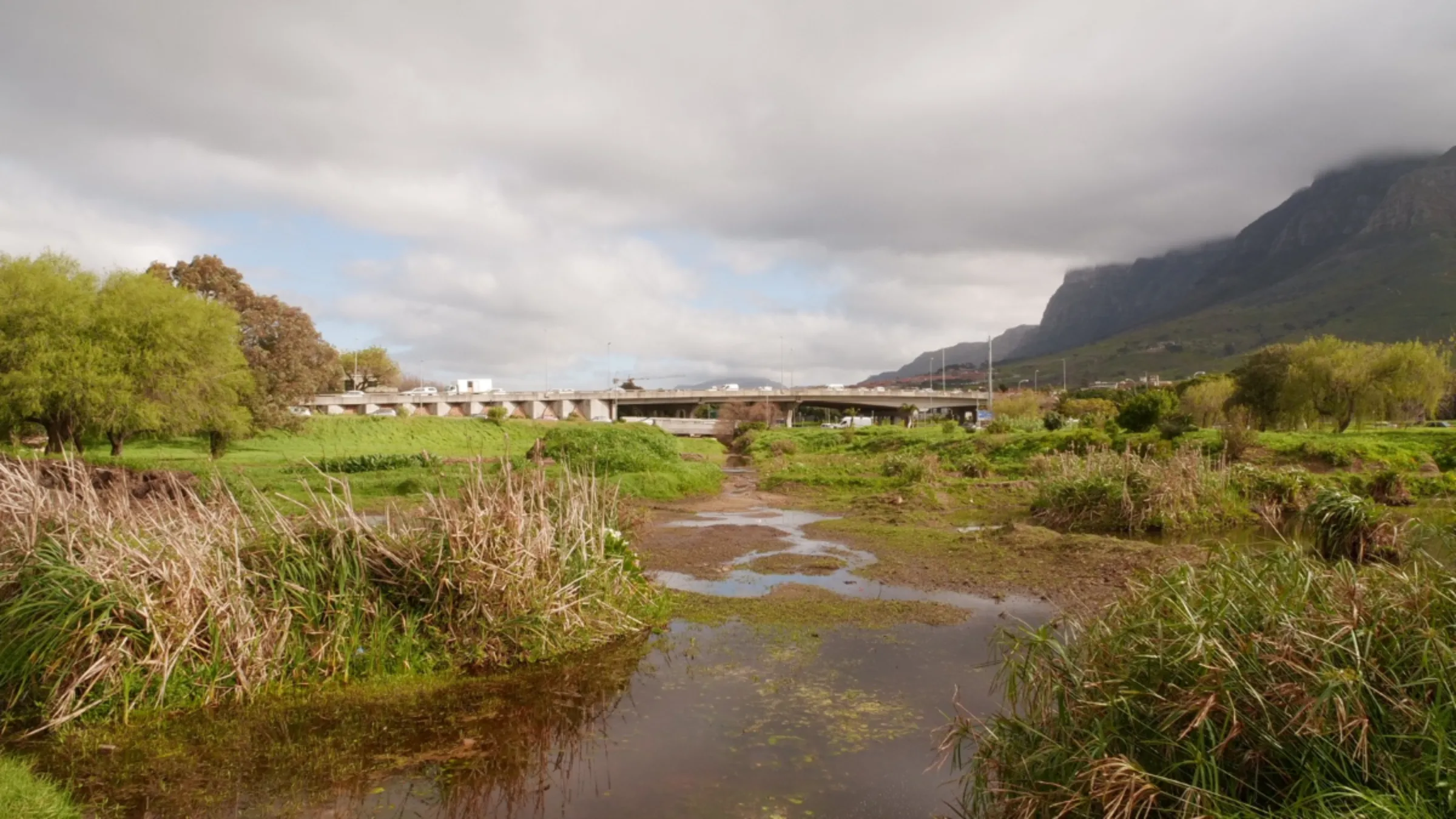 The Liesbeek as seen from one of the Friends of the Liesbeek rehabilitation sites not far from the Amazon development in Cape Town, South Africa, September 6, 2023