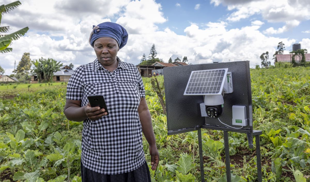Africans Combat Hunger with Innovative Solutions: Solar, AI, and Soldier Flies