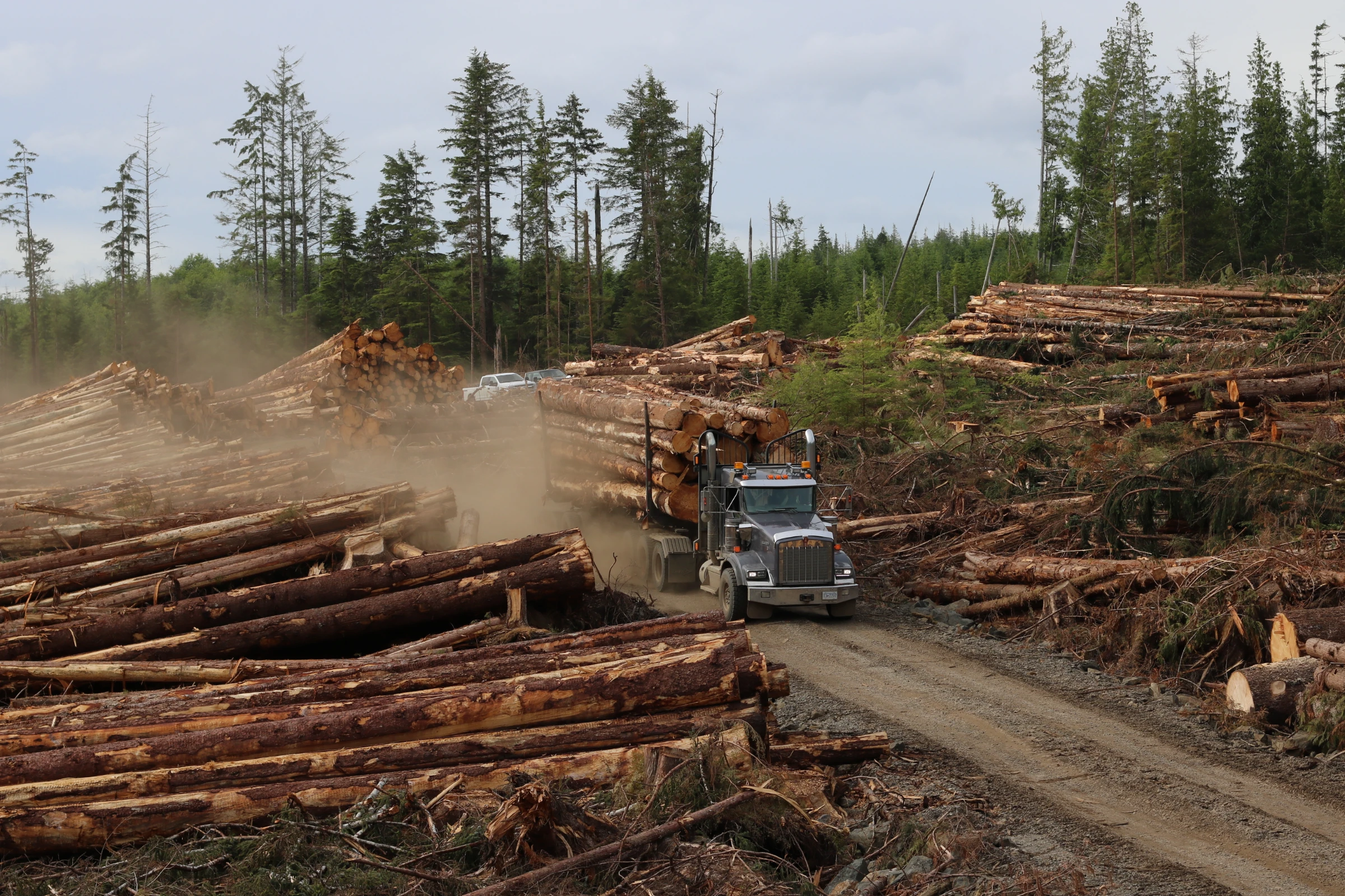 A logging truck transports second-growth sitka spruce logs for Haida-owned company Taan Forest, on Graham Island, Canada. July 24, 2024. Thomson Reuters Foundation/Jack Graham